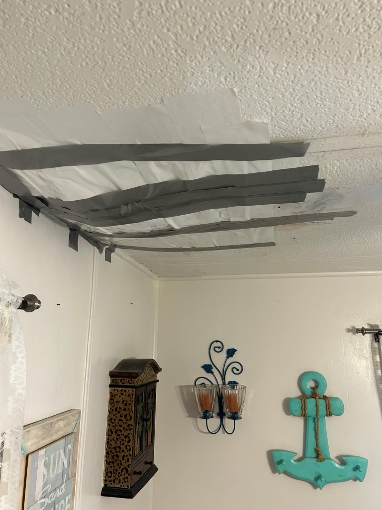 Help Darlene Get a New Roof After Her Loss campaign photo, 2 of 8
