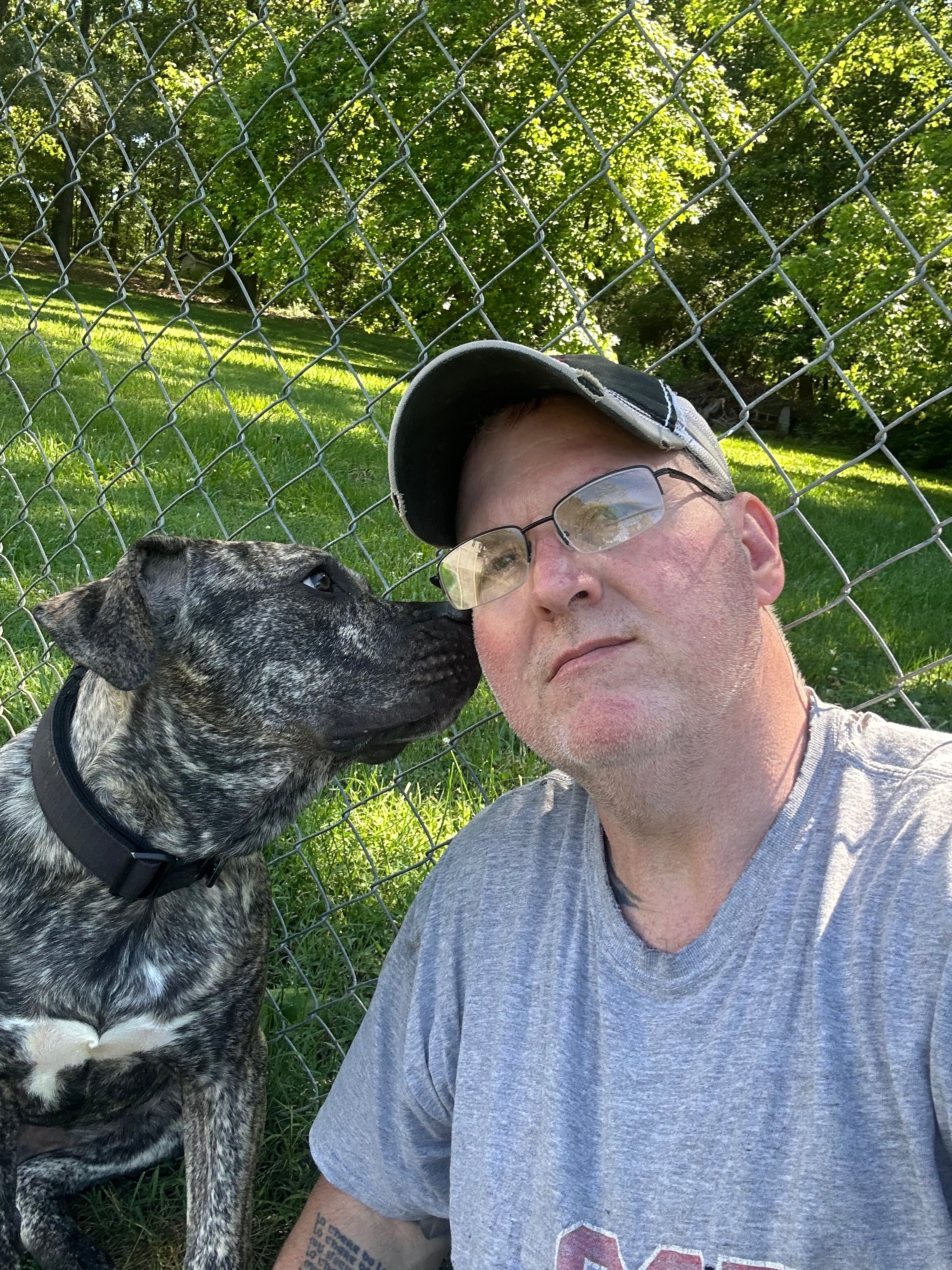 Please help Gunnar get the training he needs. campaign photo, 4 of 8