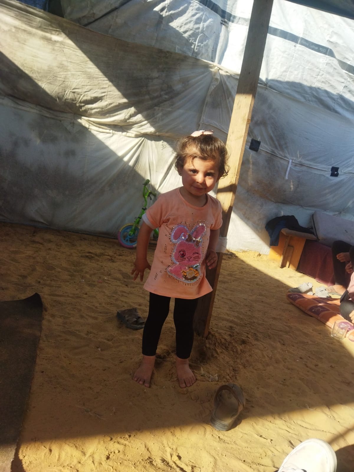Help My Family Survive Starvation in Gaza campaign photo, 7 of 8