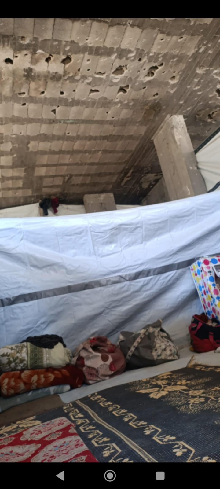 Help My Family Survive Starvation in Gaza campaign photo, 6 of 8