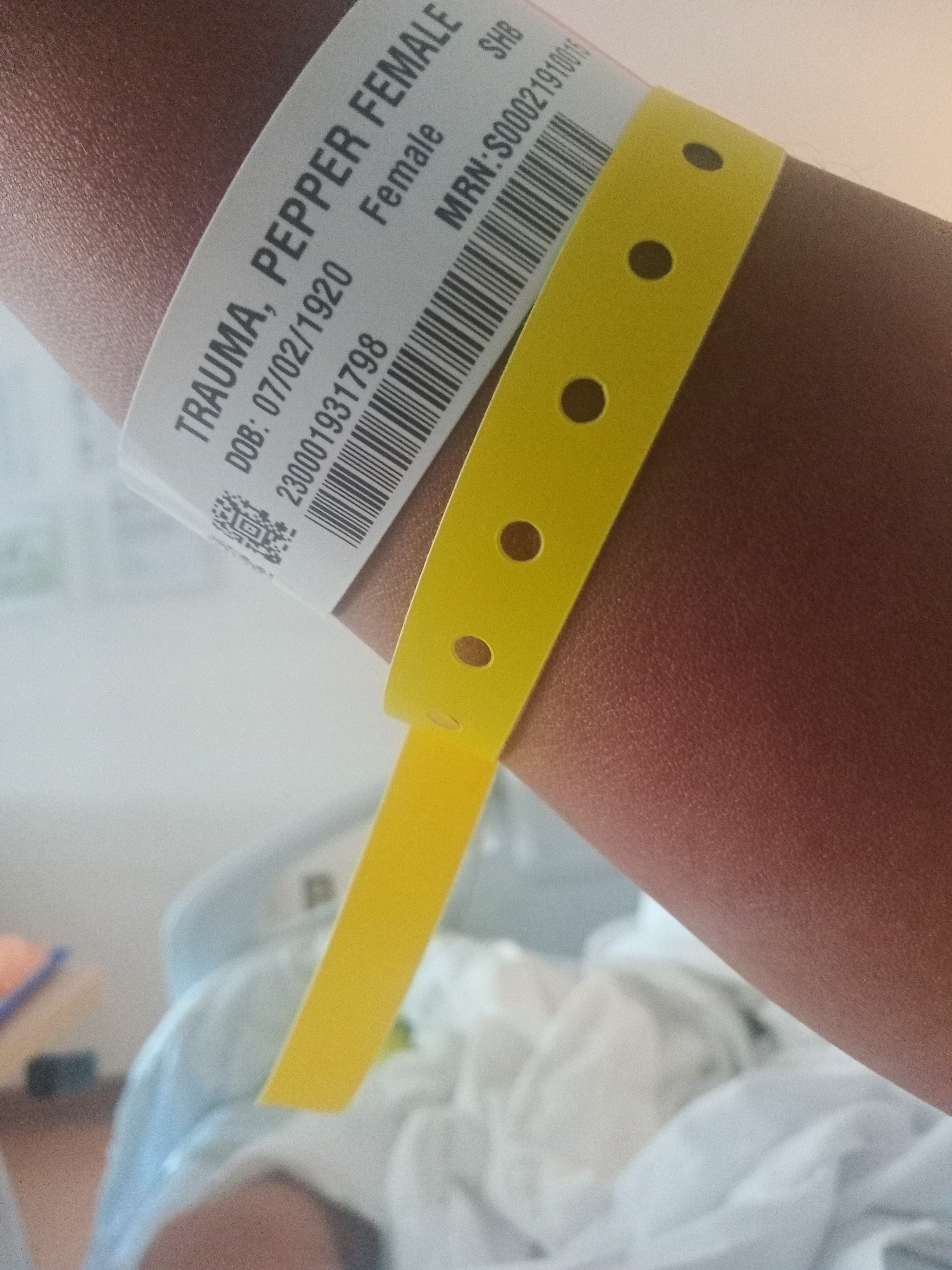 Support Erika Williams Morris' Family After Accident campaign photo, 2 of 5