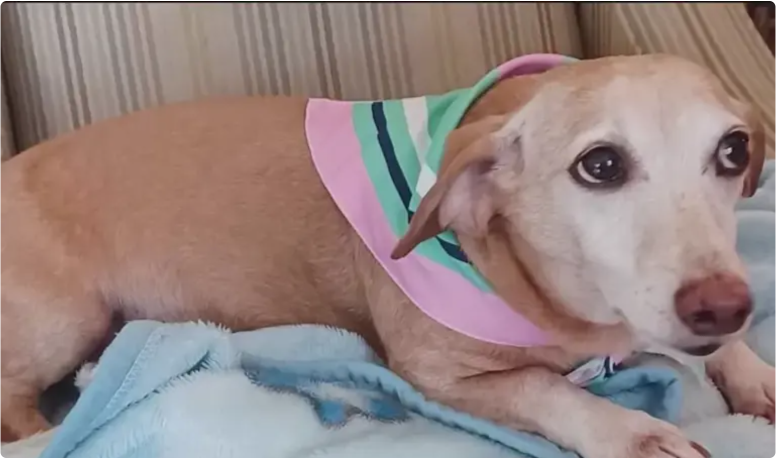 User-uploaded image 1