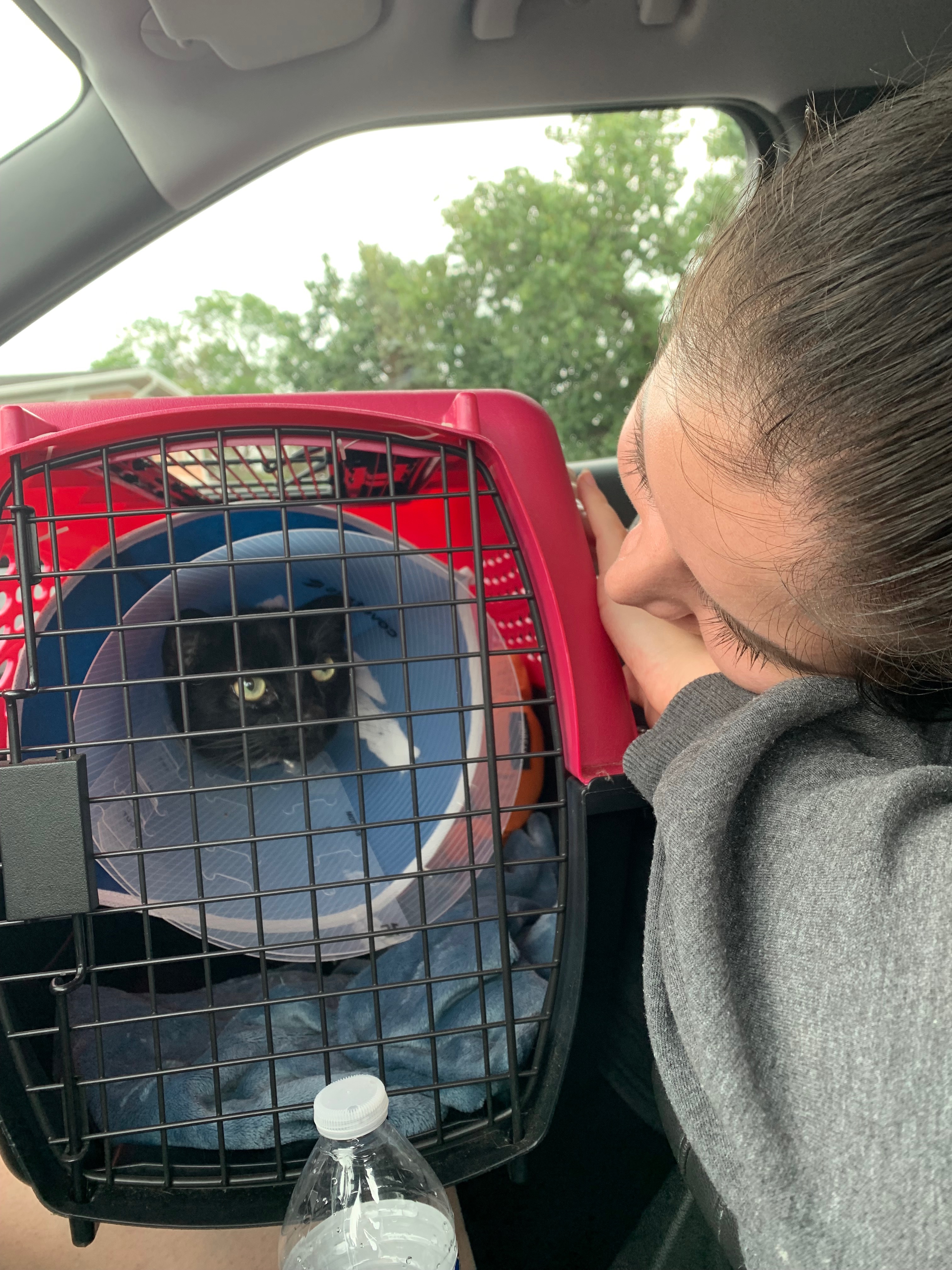 Help Us Support Spooky Through His Cancer Journey campaign photo, 4 of 8