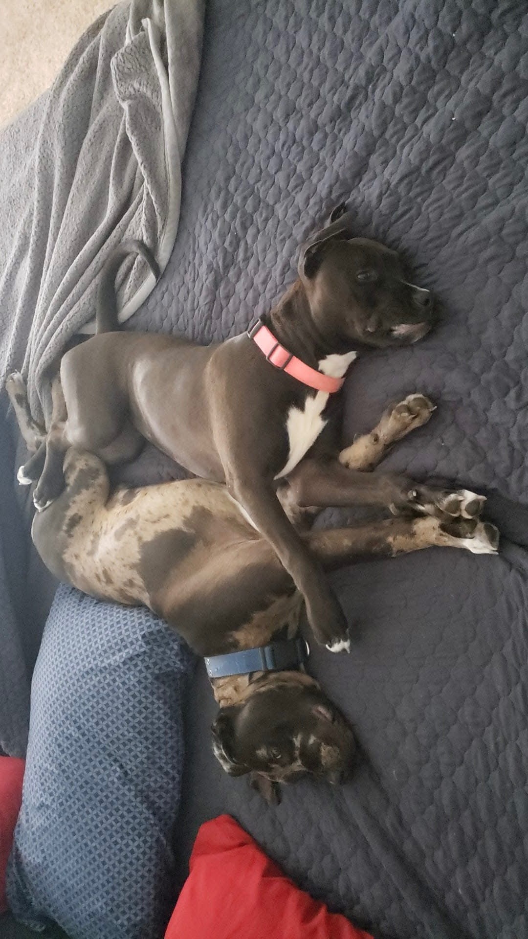 User-uploaded image 1