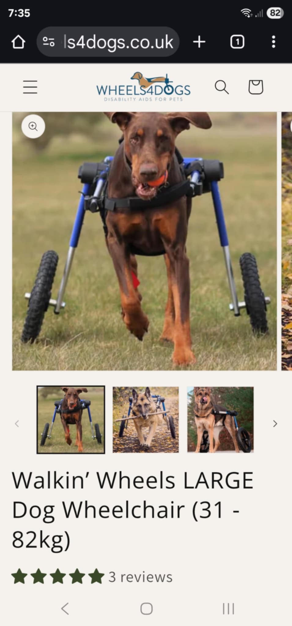 Prince 19month old Labrador in need of wheels or operation campaign photo, 2 of 8