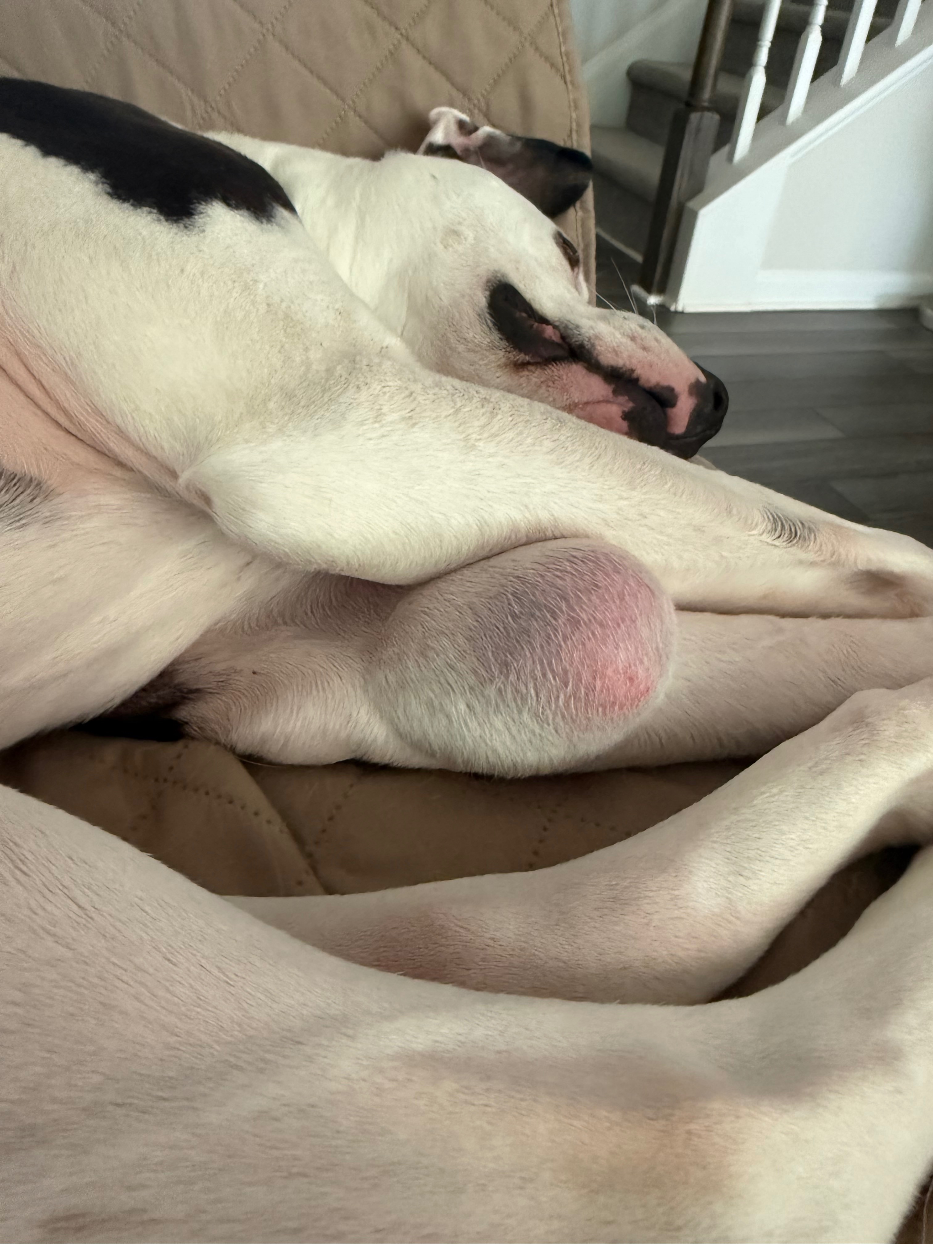Help Jax Overcome Soft Tissue Sarcoma campaign photo, 5 of 8