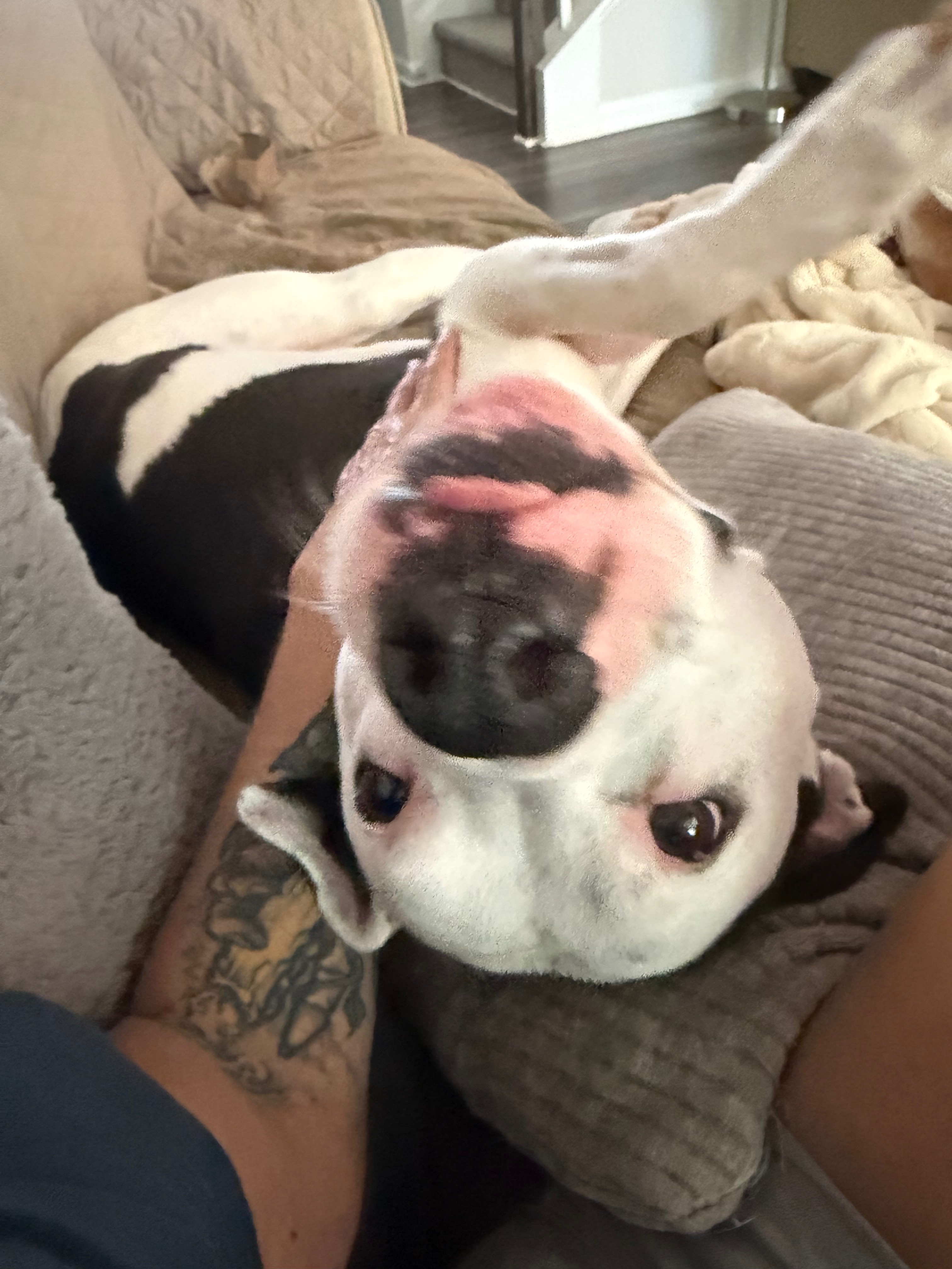 Help Jax Overcome Soft Tissue Sarcoma campaign photo, 6 of 8