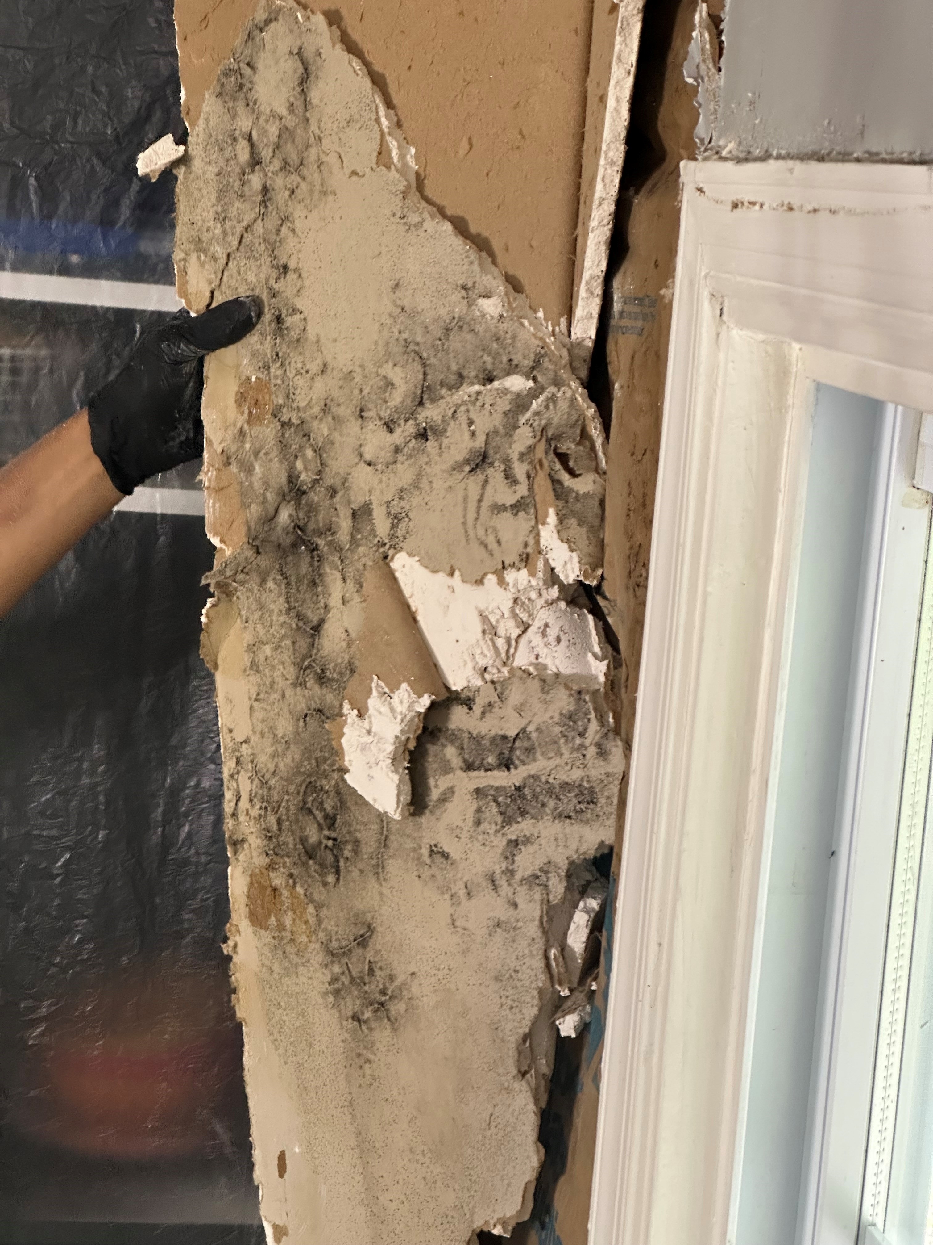 Urgent Help Needed: Marine Family Facing Black Mold Disaster campaign photo, 6 of 8