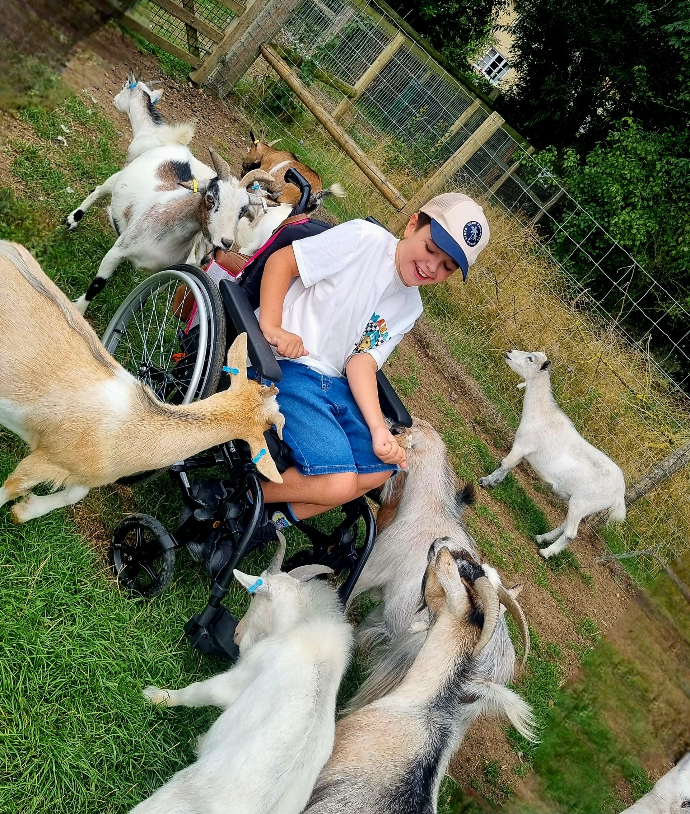 Help Fletcher raise funds for his wheelchair power add on campaign photo, 6 of 8