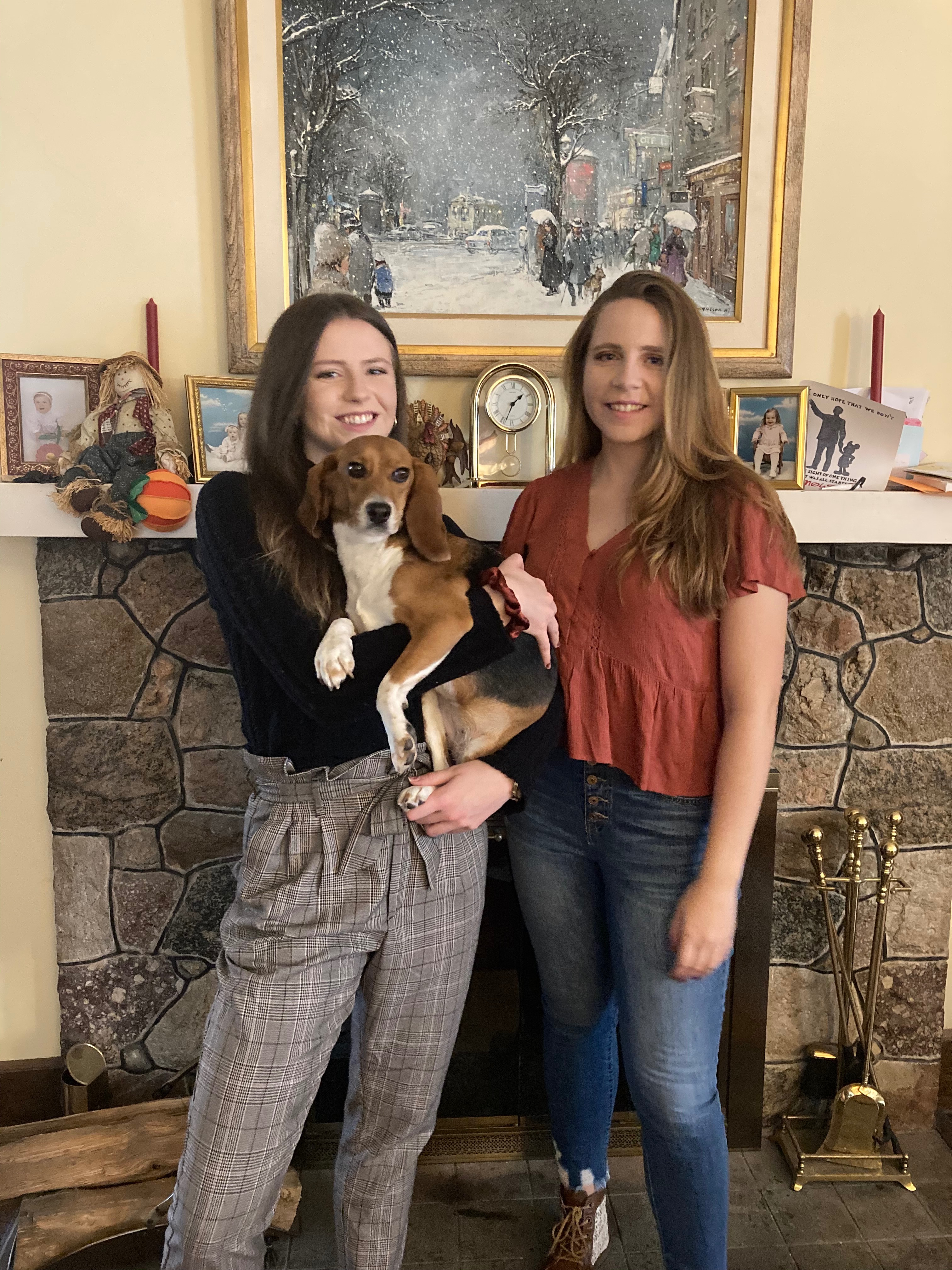 Help lab rescue beagle Colette beat cancer campaign photo, 6 of 8