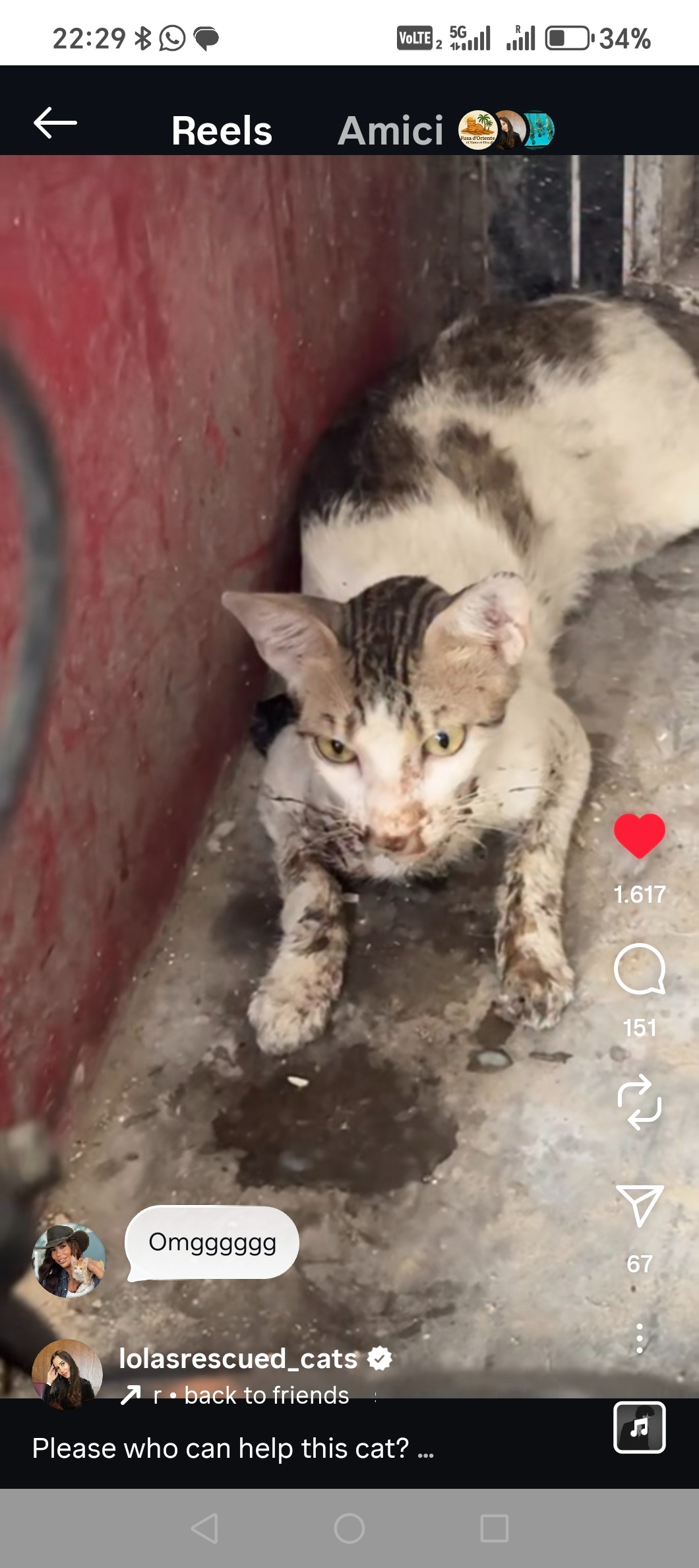Help Us Save Dylan and Give Him a Chance to Live campaign photo, 5 of 6