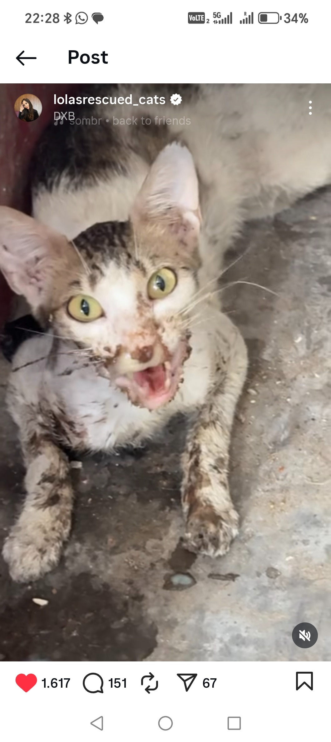 Help Us Save Dylan and Give Him a Chance to Live campaign photo, 2 of 6