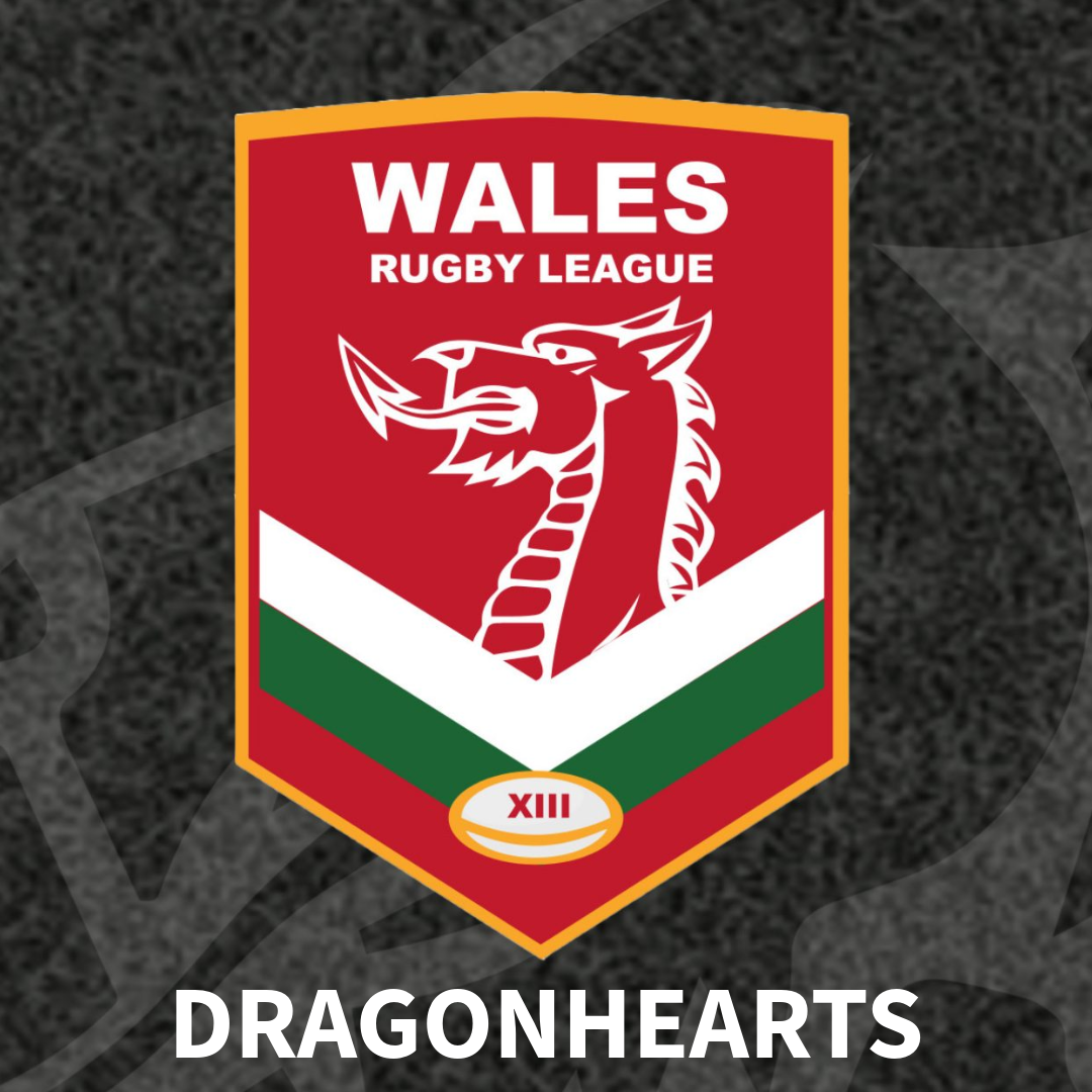 Dragonhearts self funded campaign 2025 campaign photo, 4 of 6