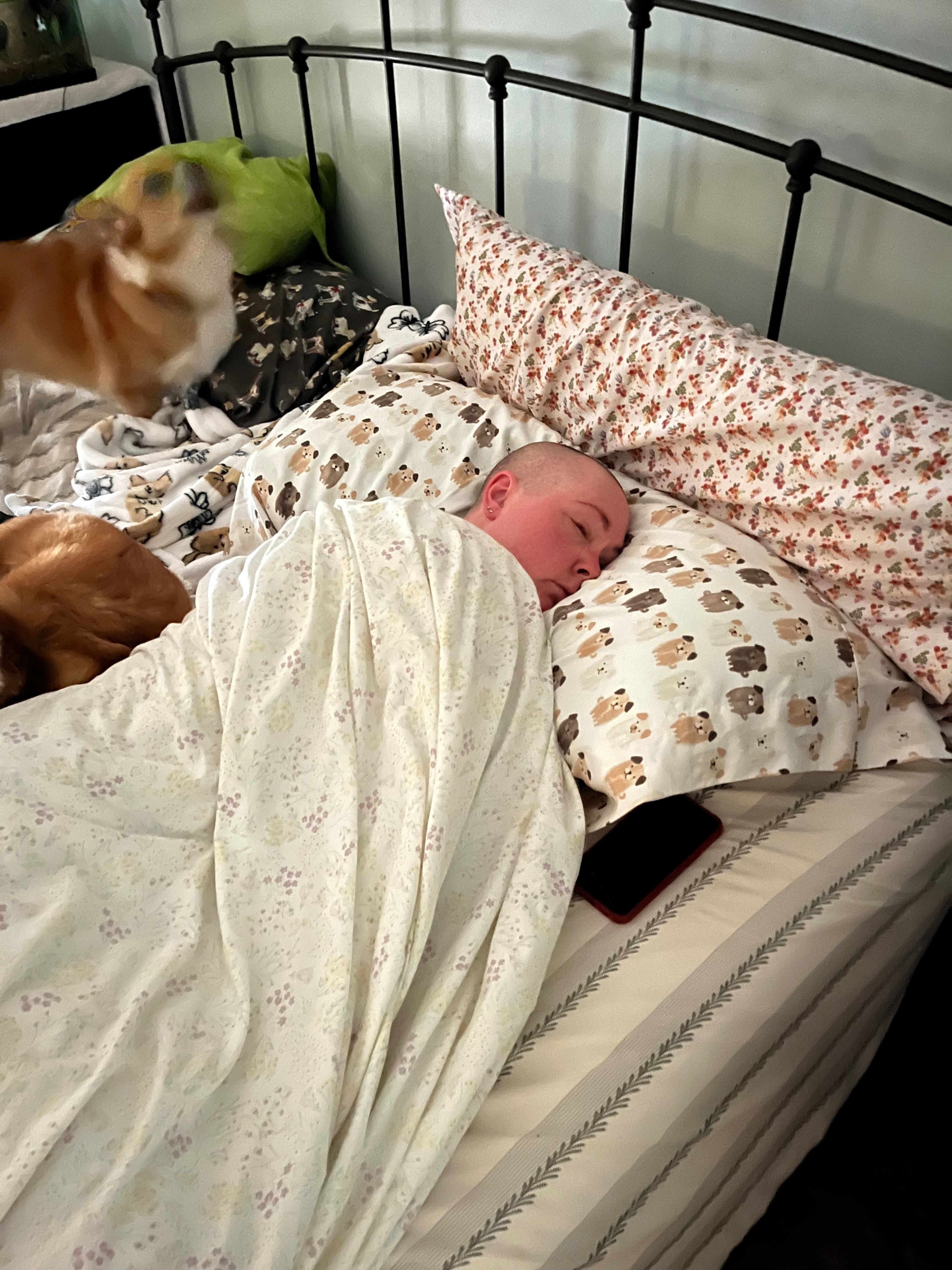 User-uploaded image 1