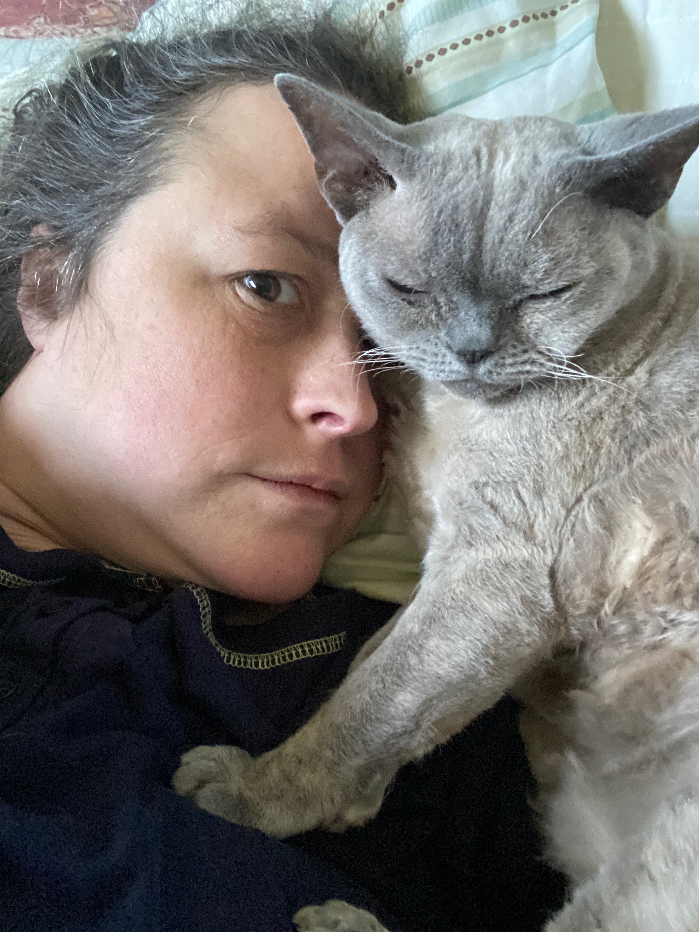 Support a Cat Lady in Need of a Home campaign photo, 7 of 8