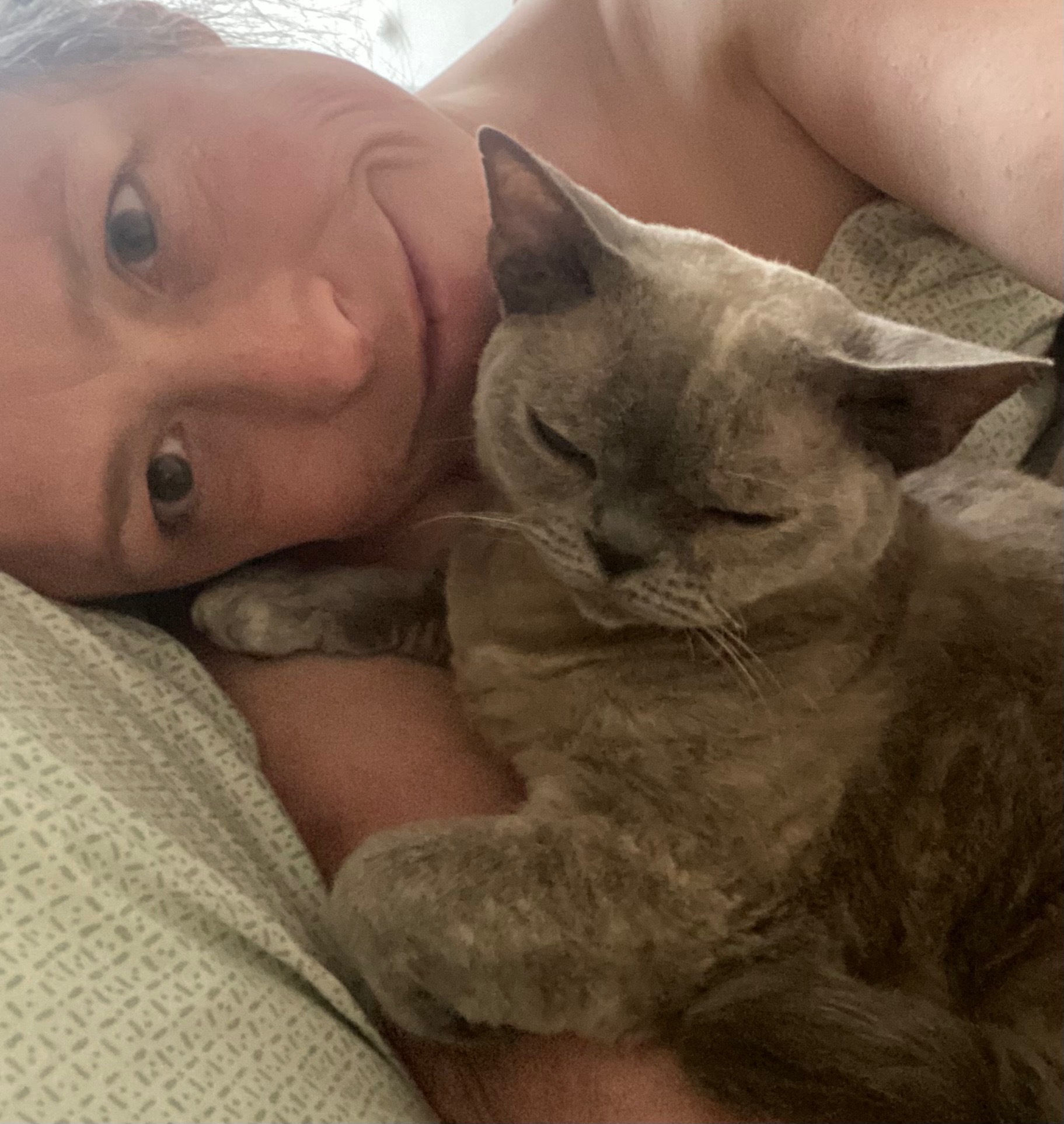 Support a Cat Lady in Need of a Home campaign photo, 2 of 8