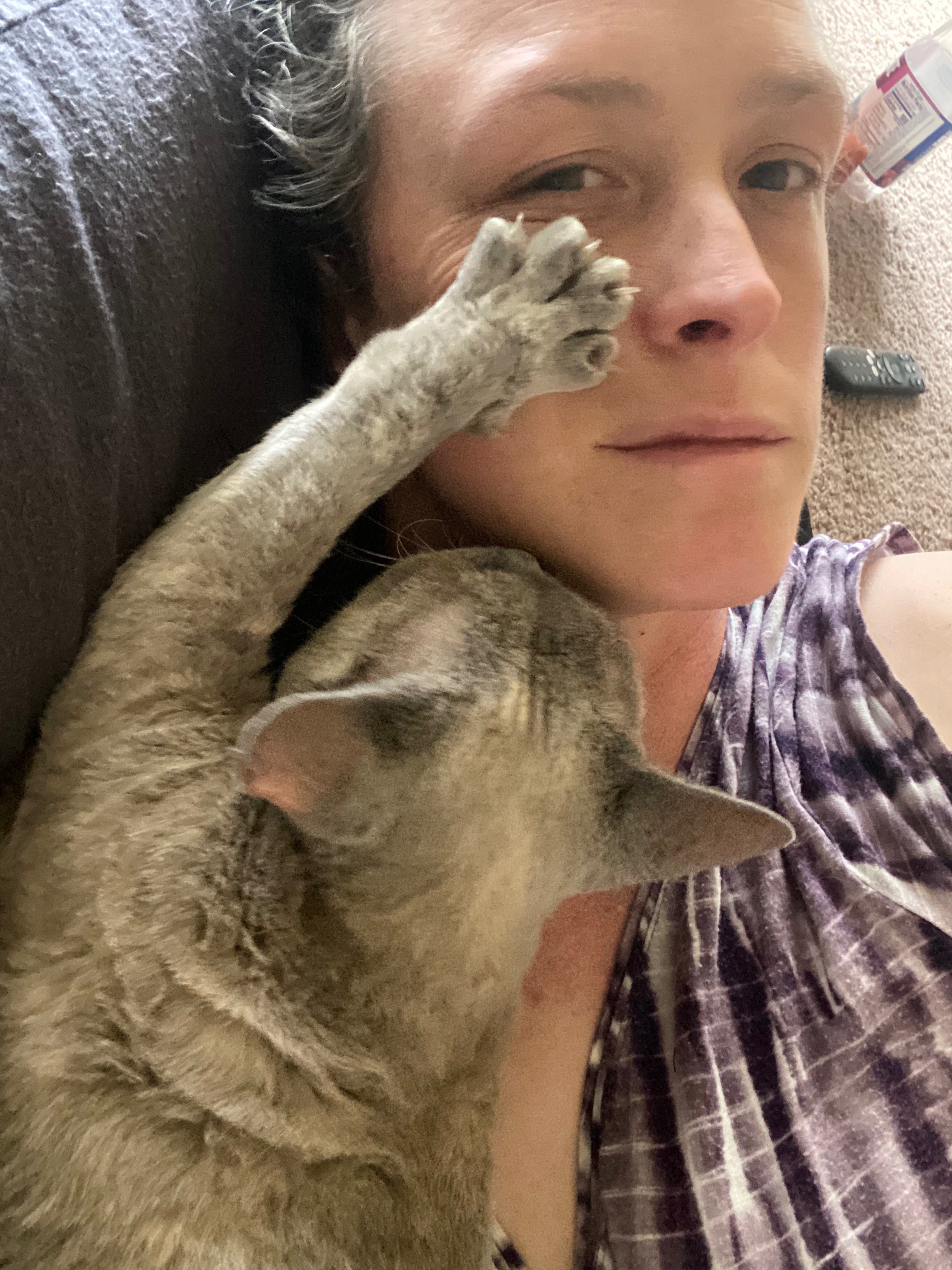 Support a Cat Lady in Need of a Home campaign photo, 5 of 8