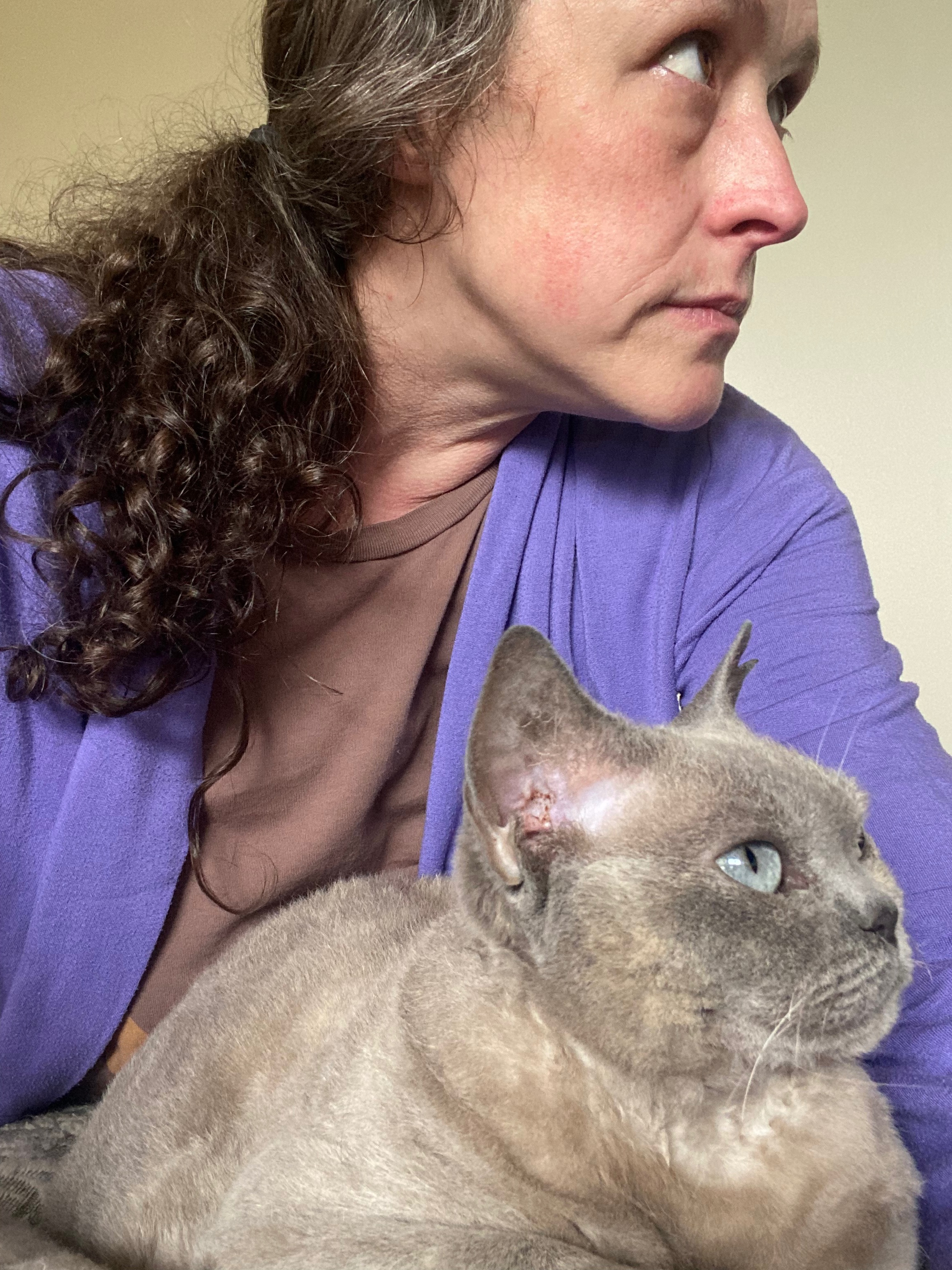 Support a Cat Lady in Need of a Home campaign photo, 6 of 8