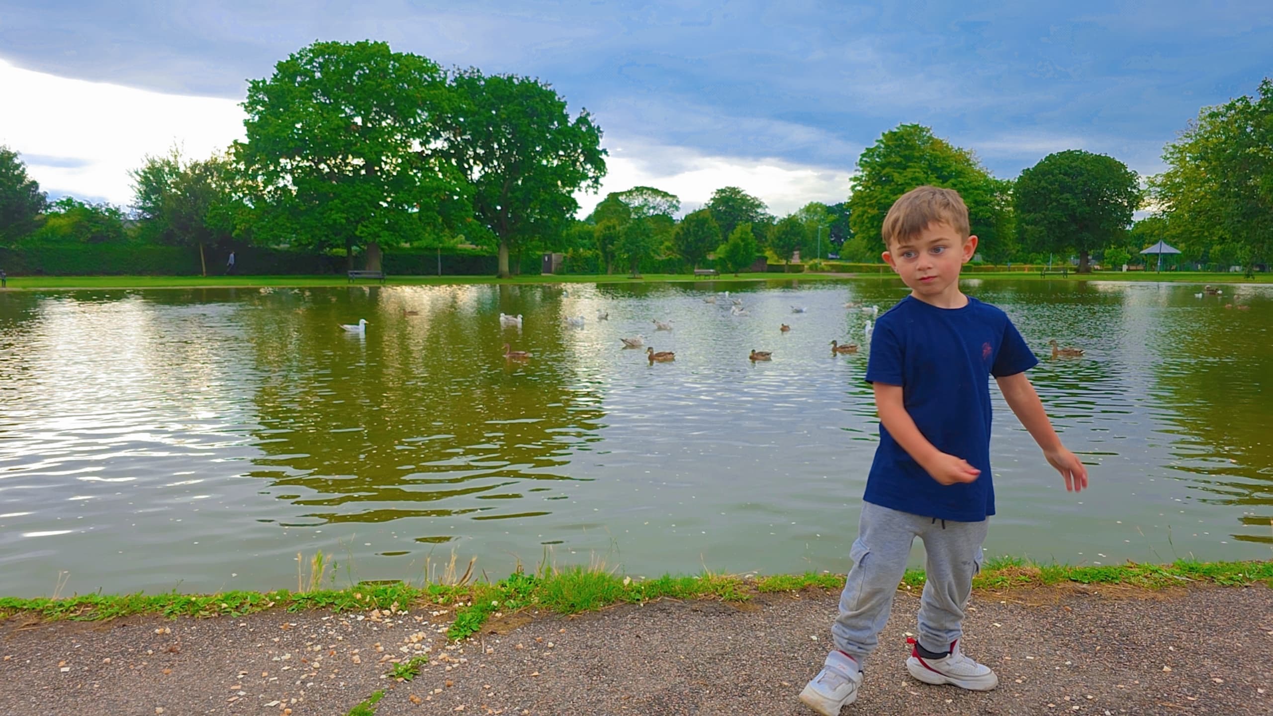 User-uploaded image 1