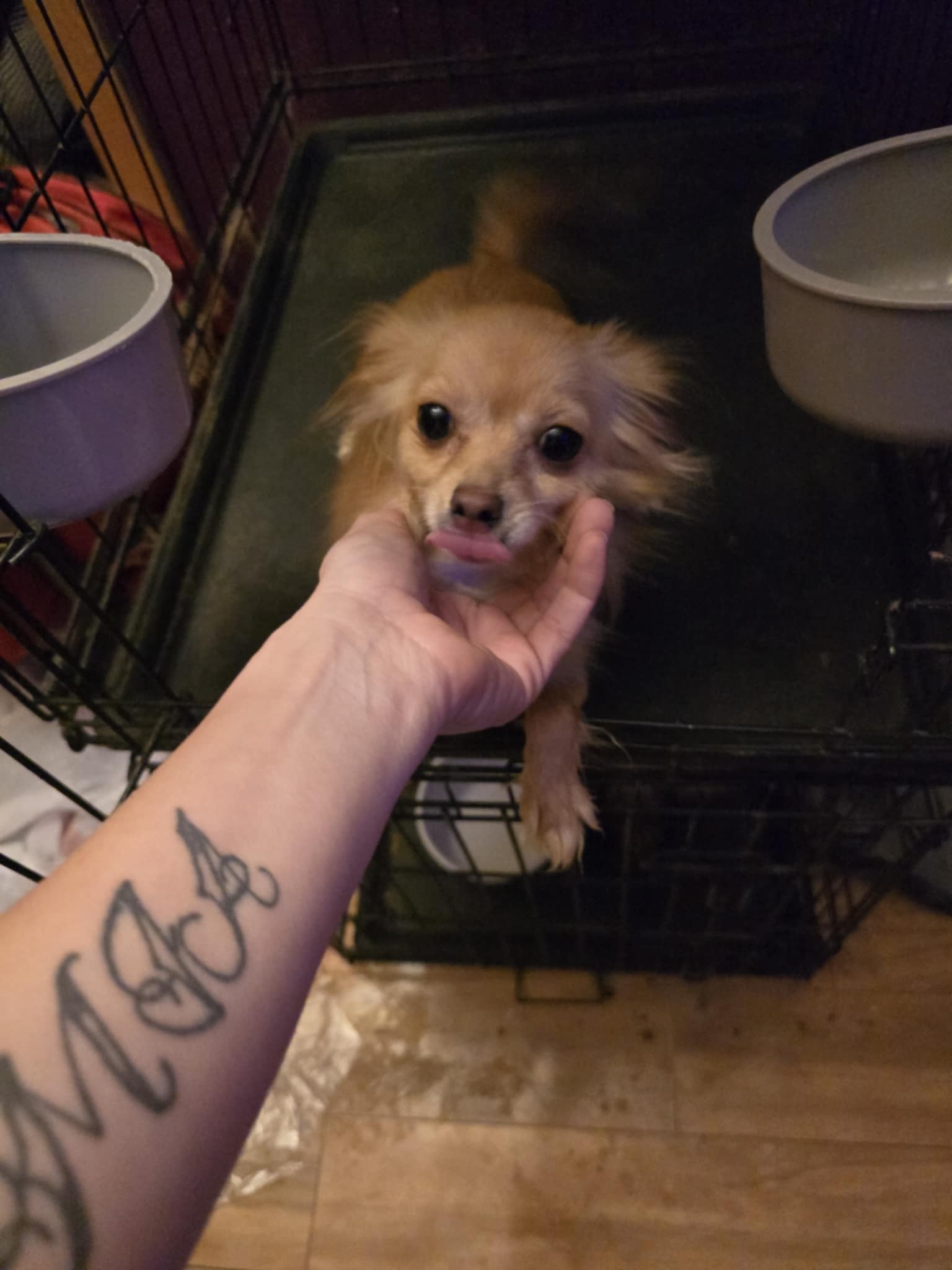 Help Ashley and Nate Rebuild After Fire campaign photo, 2 of 8