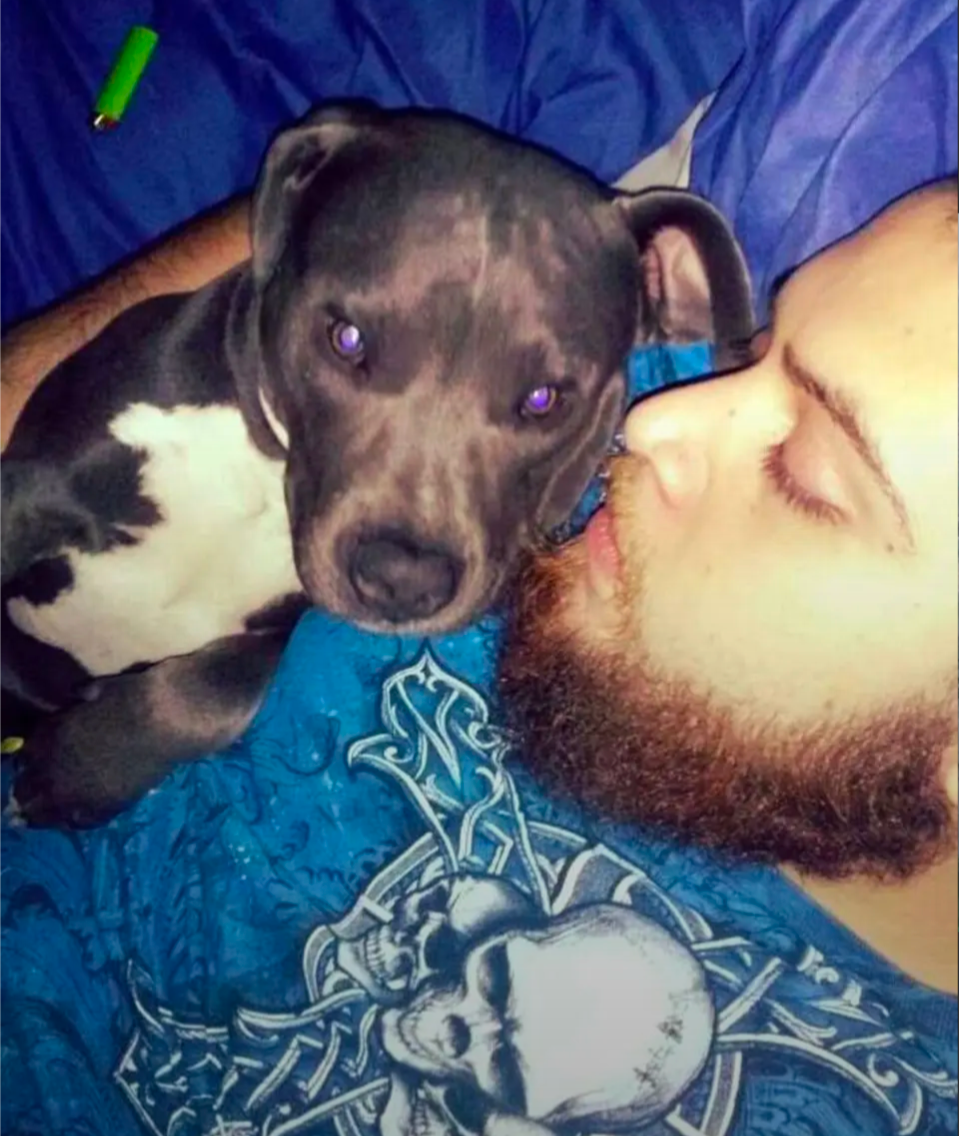 Help the Hernandez Family Honor Alex campaign photo, 2 of 3