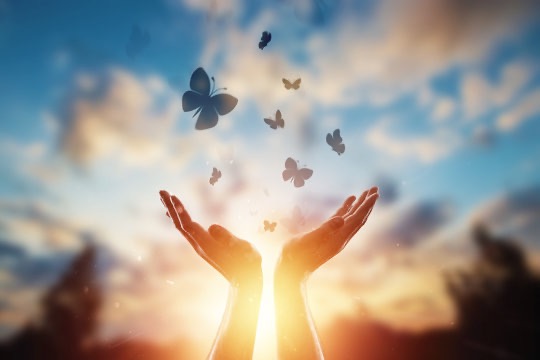 User-uploaded image 1