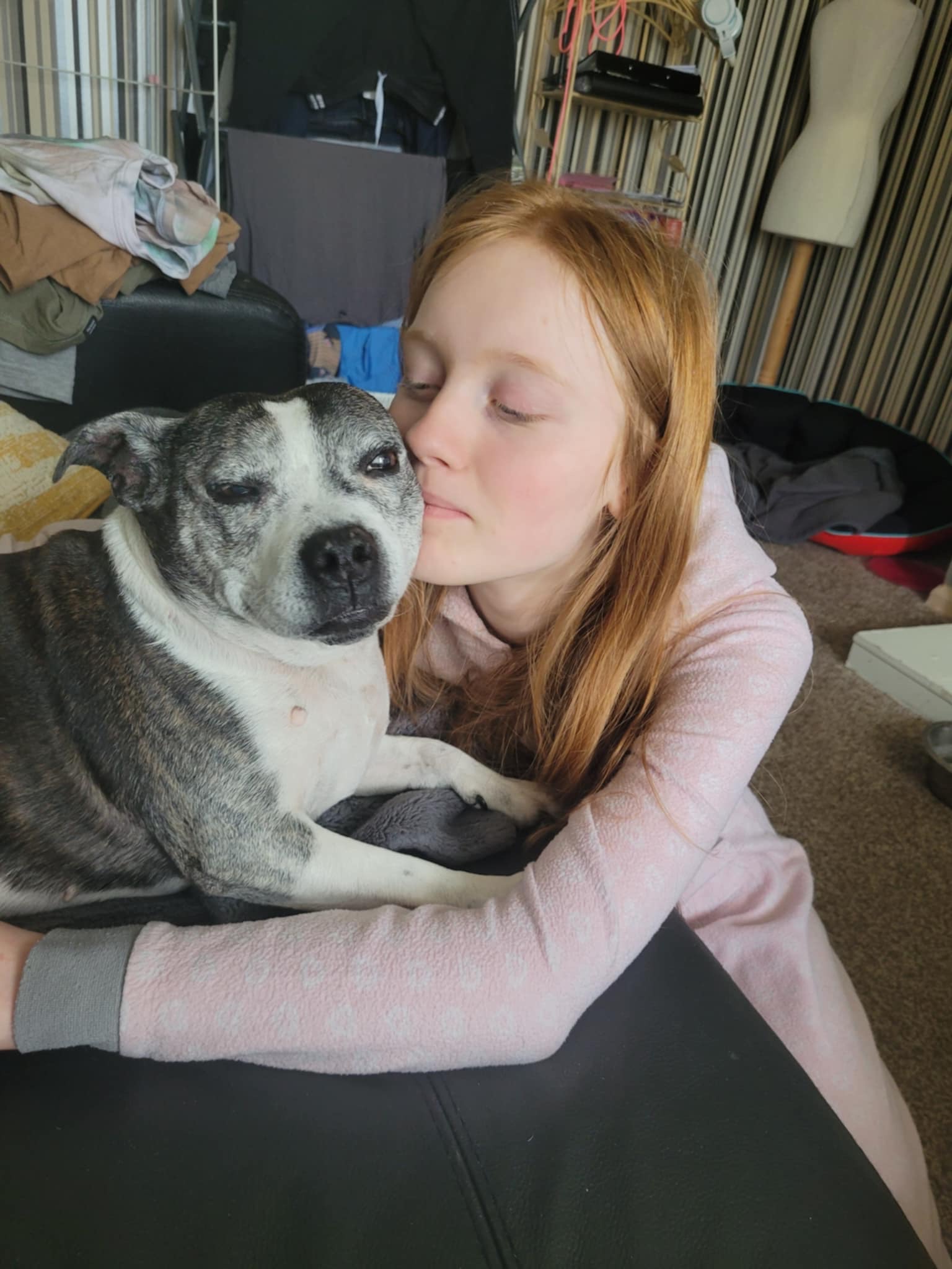 Help with vet bills campaign photo, 5 of 8