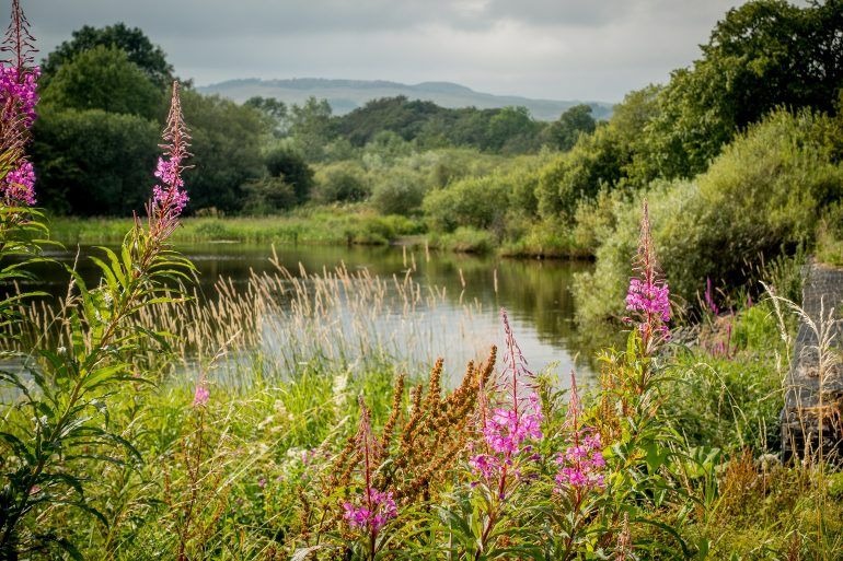 Thrive Wellbeing Walk campaign photo, 6 of 6