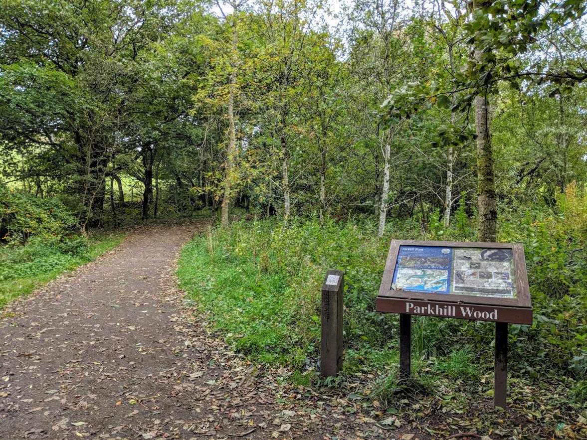 Thrive Wellbeing Walk campaign photo, 2 of 6