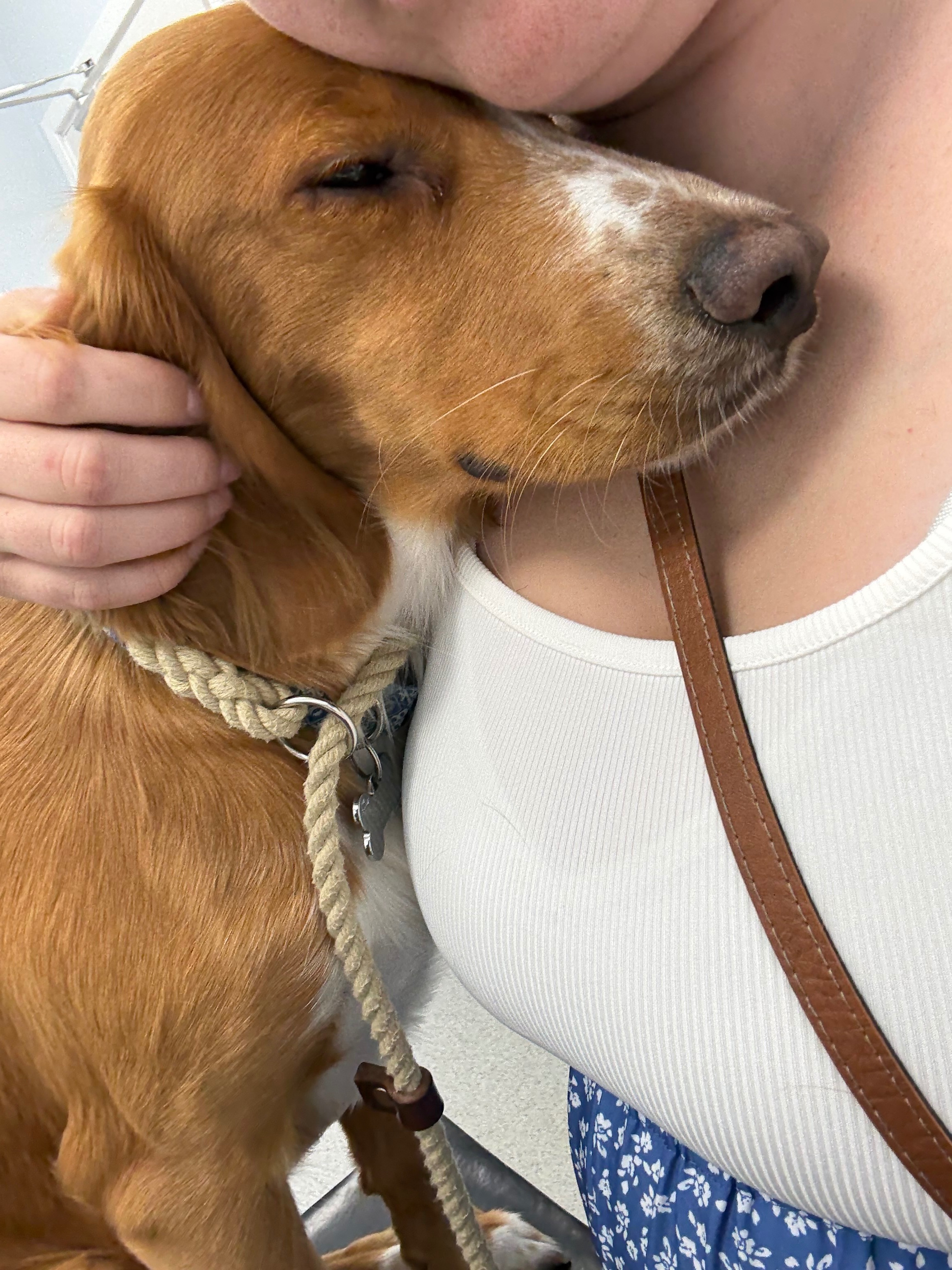 Help get cooper better campaign photo, 2 of 7