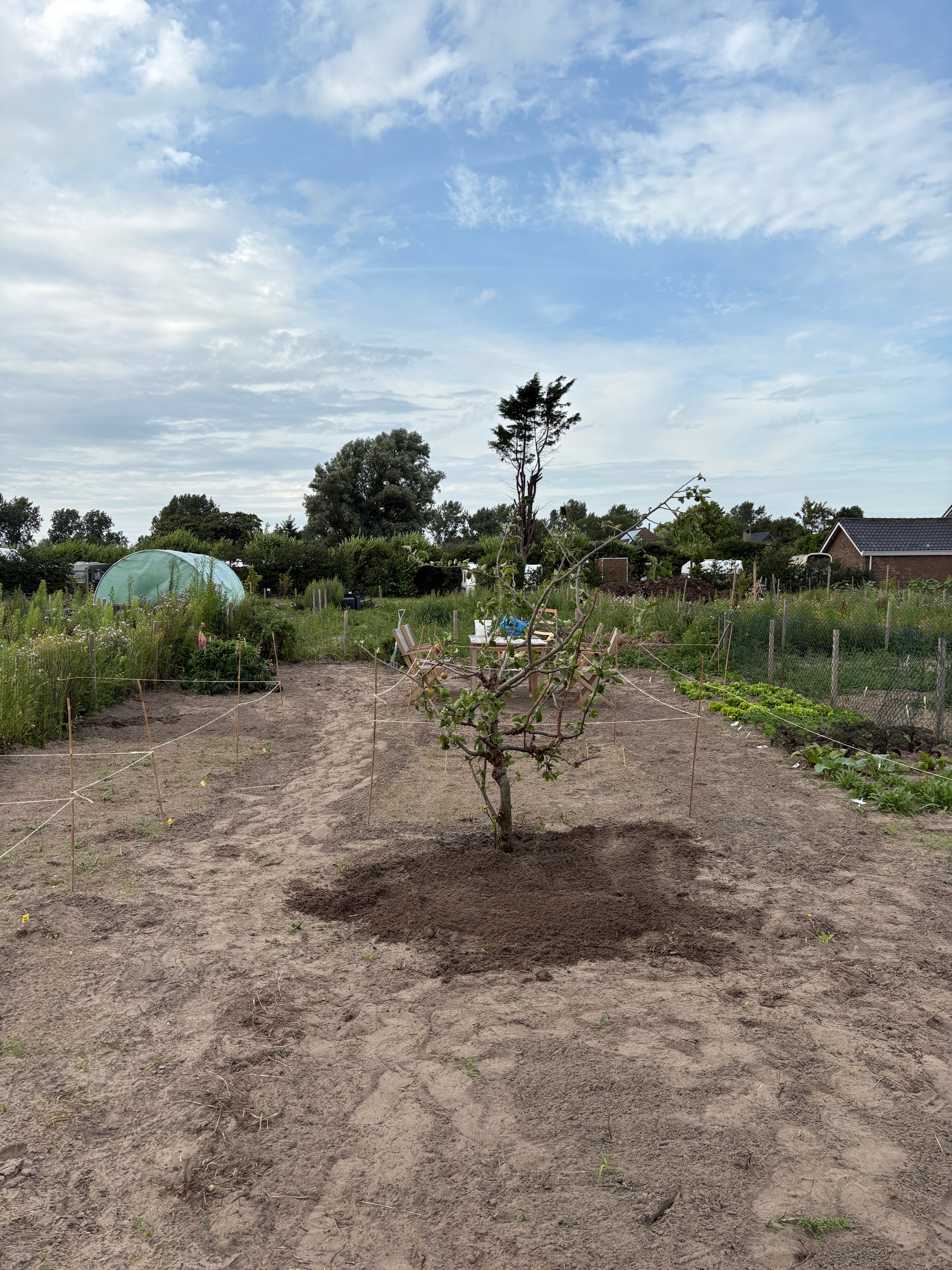 Wie wilt ons steunen bij onze moestuin. 3 meiden met hobby campaign photo, 5 of 8