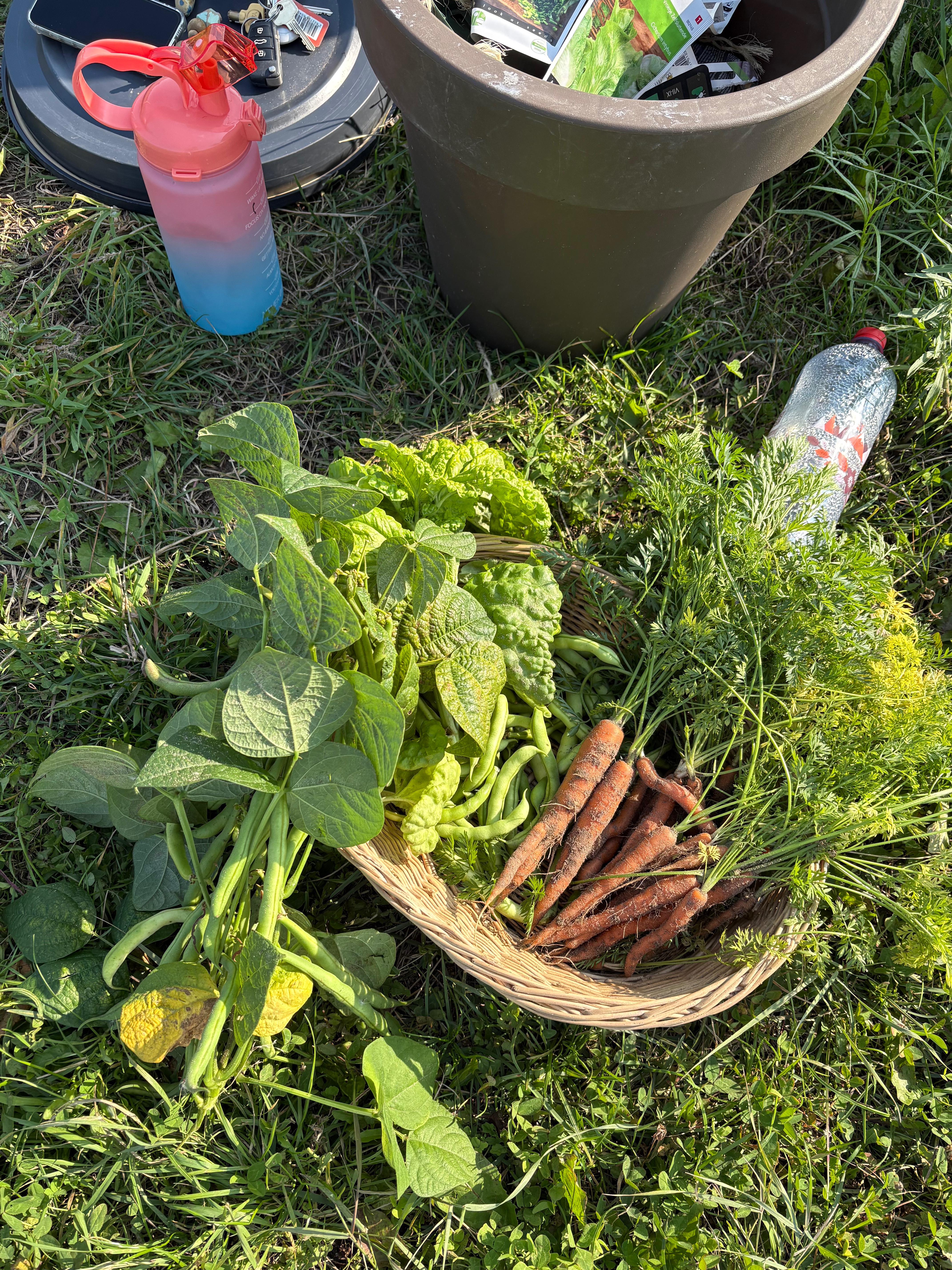 Wie wilt ons steunen bij onze moestuin. 3 meiden met hobby campaign photo, 6 of 8