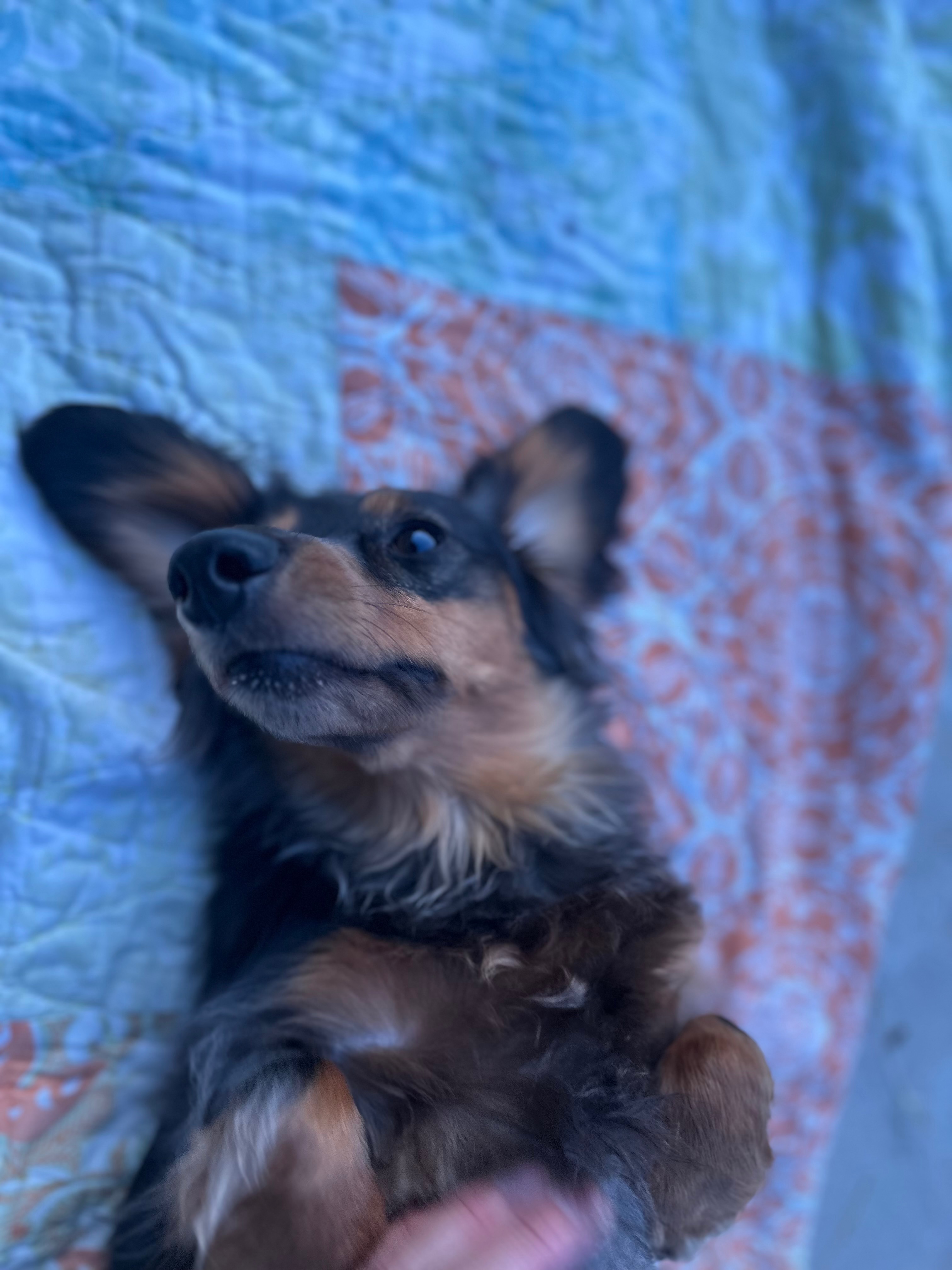 Join Rolo's Fight for Recovery campaign photo, 4 of 5