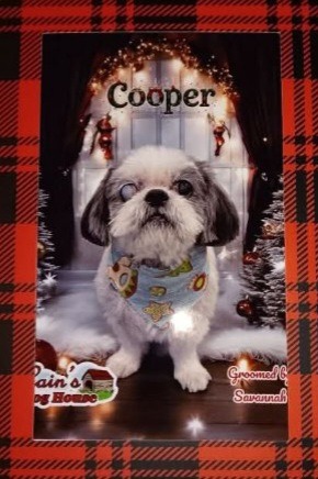 Help Amy Save Cooper campaign photo, 5 of 6