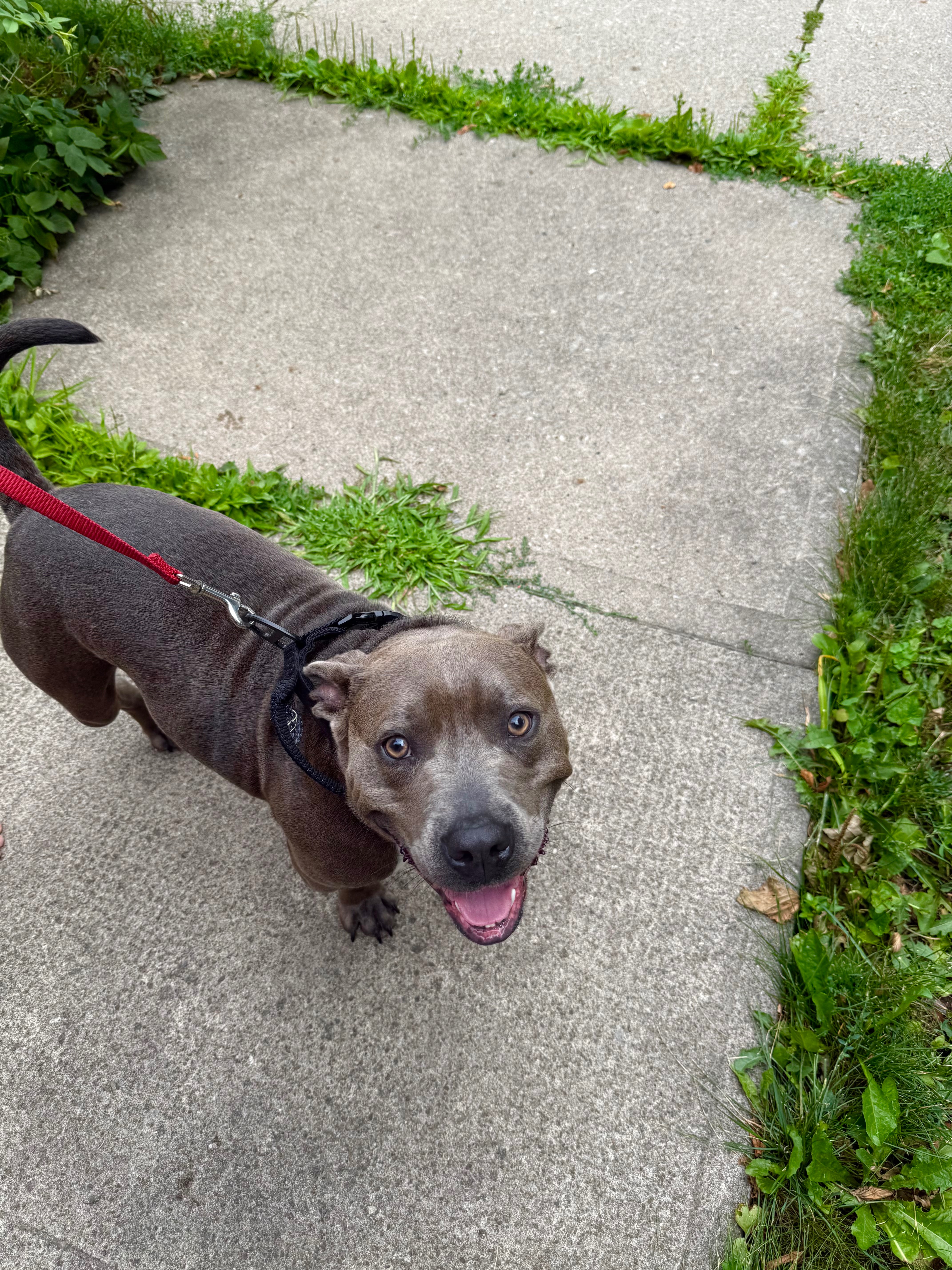 HELP SAVE TATERS LIFE! campaign photo, 7 of 8