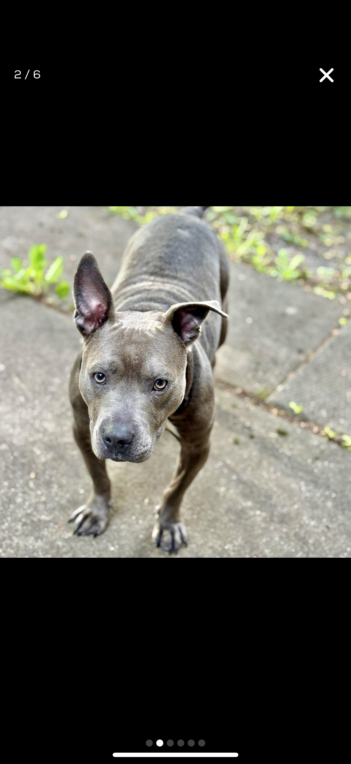 HELP SAVE TATERS LIFE! campaign photo, 6 of 8