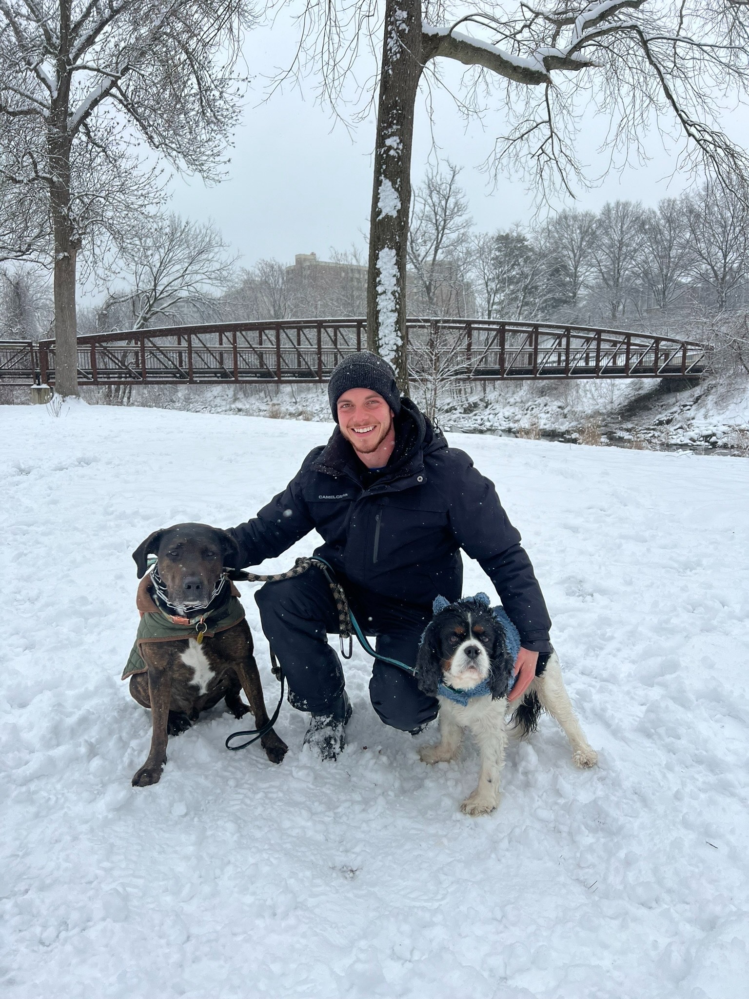 Help Barney Walk Again: Surgery Needed campaign photo, 7 of 8