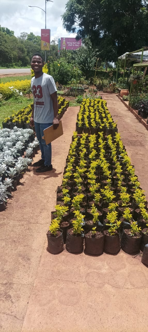 Help Tapiwa Graduate and Fight Global Food Insecurity campaign photo, 4 of 8