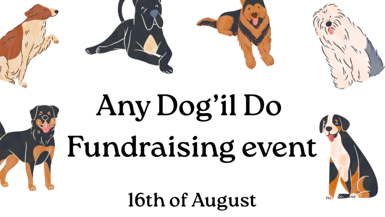 Any Dog’il Do Fundraiser by Taylor & Kirah photo