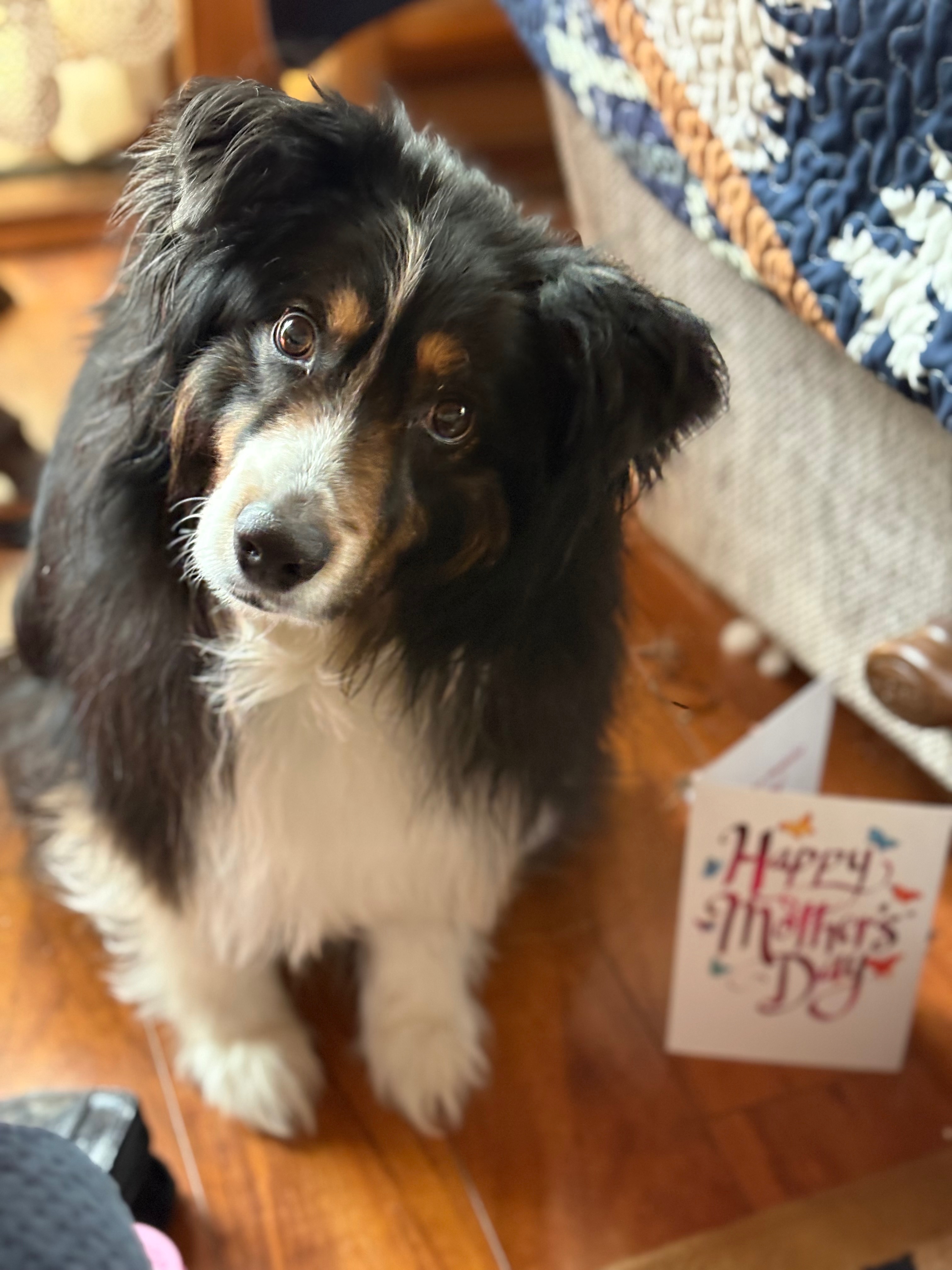 Help Isabella Rose Get Life-Saving Surgery campaign photo, 2 of 6