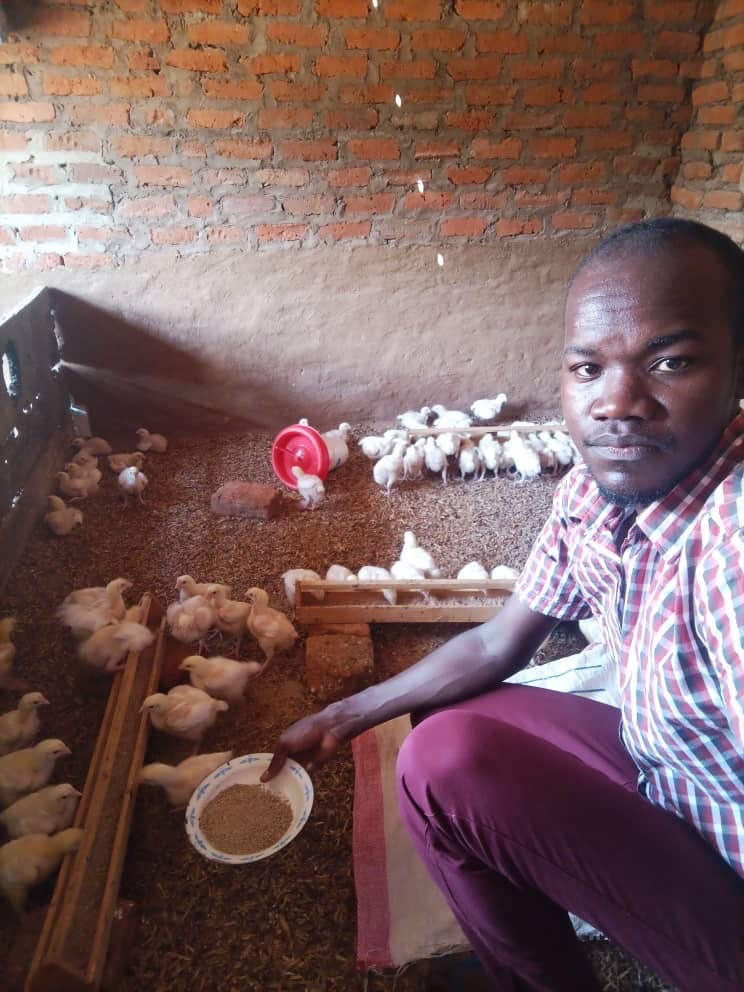 Help Us Start a Layers Chicken Farm to Feed, Empower Orphans campaign photo, 2 of 4