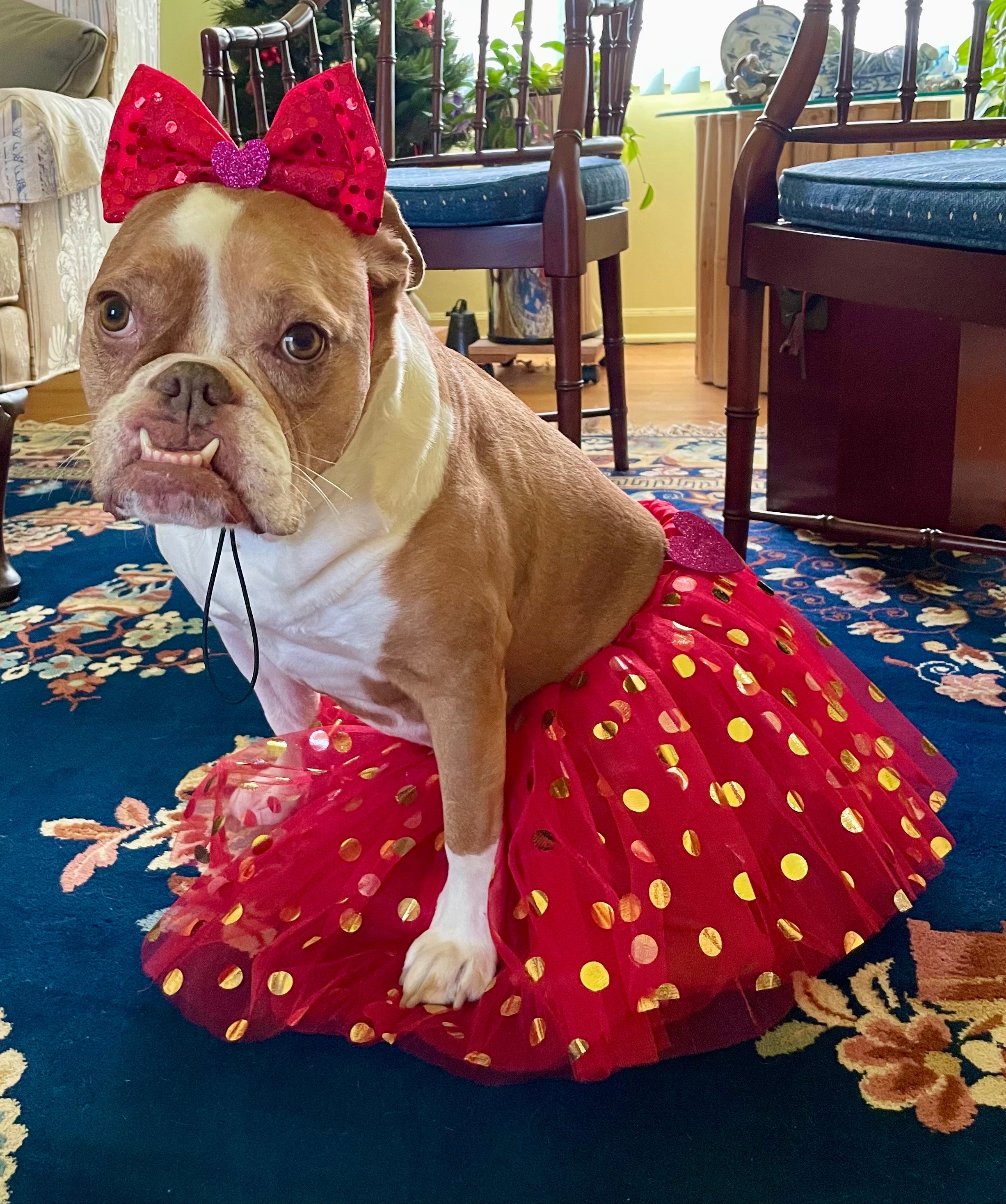 Ivy's ICU Battle: Help Cover Medical Bills campaign photo, 2 of 7