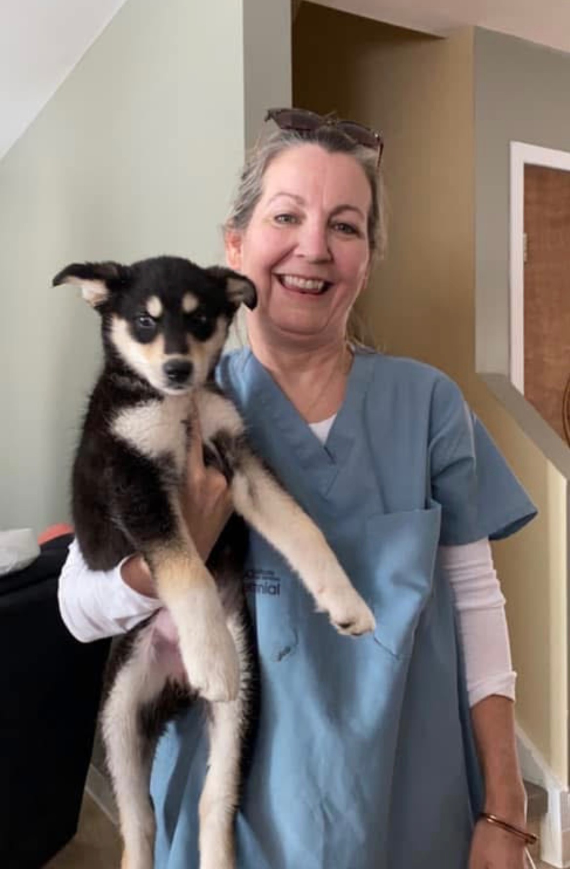 Raise funds for Wapekeka Vet Clinic campaign photo, 4 of 5