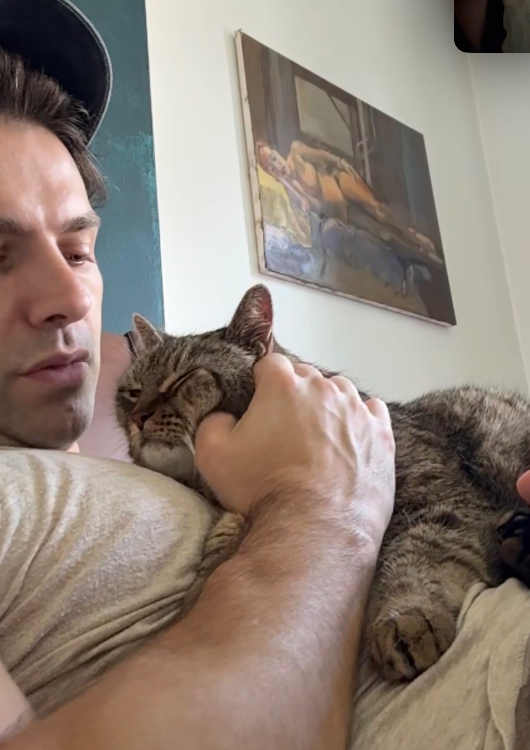 “A plague on” kitty illness: Support Juliet’s medical care campaign photo, 6 of 8