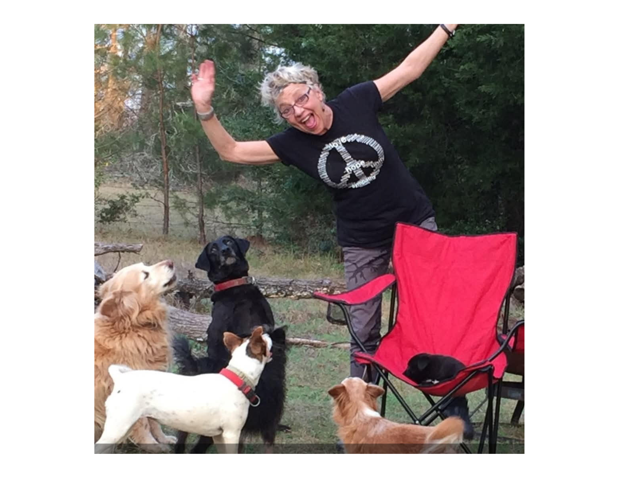 In Memory of MzVicky: Help Her Dogs campaign photo, 2 of 5