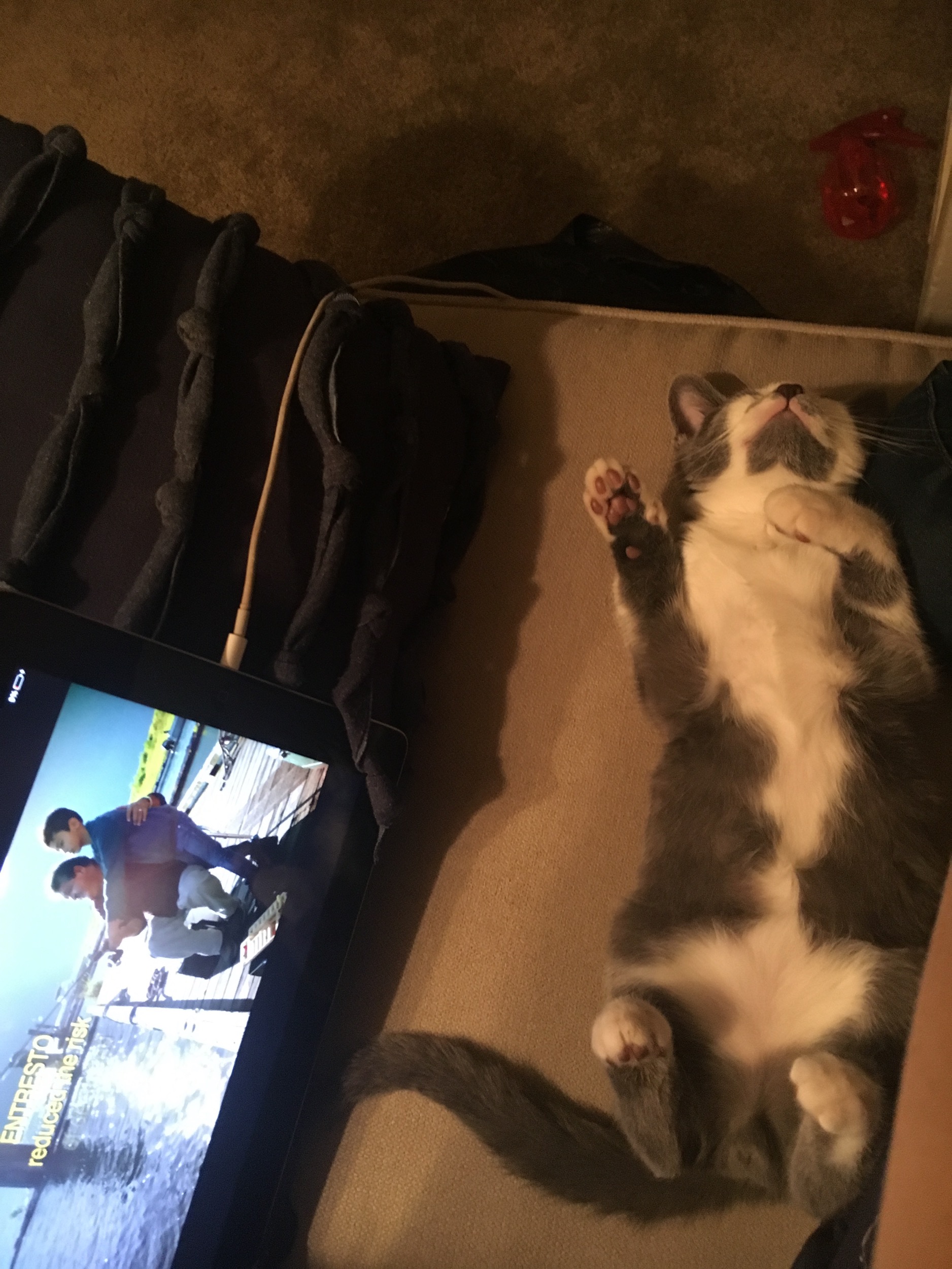 In Memory of Marcel (Help with his Medical Bills) campaign photo, 4 of 8