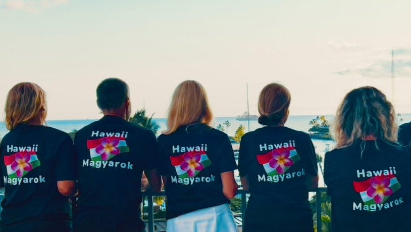Support Hawaii - Hungarian School's Mission photo