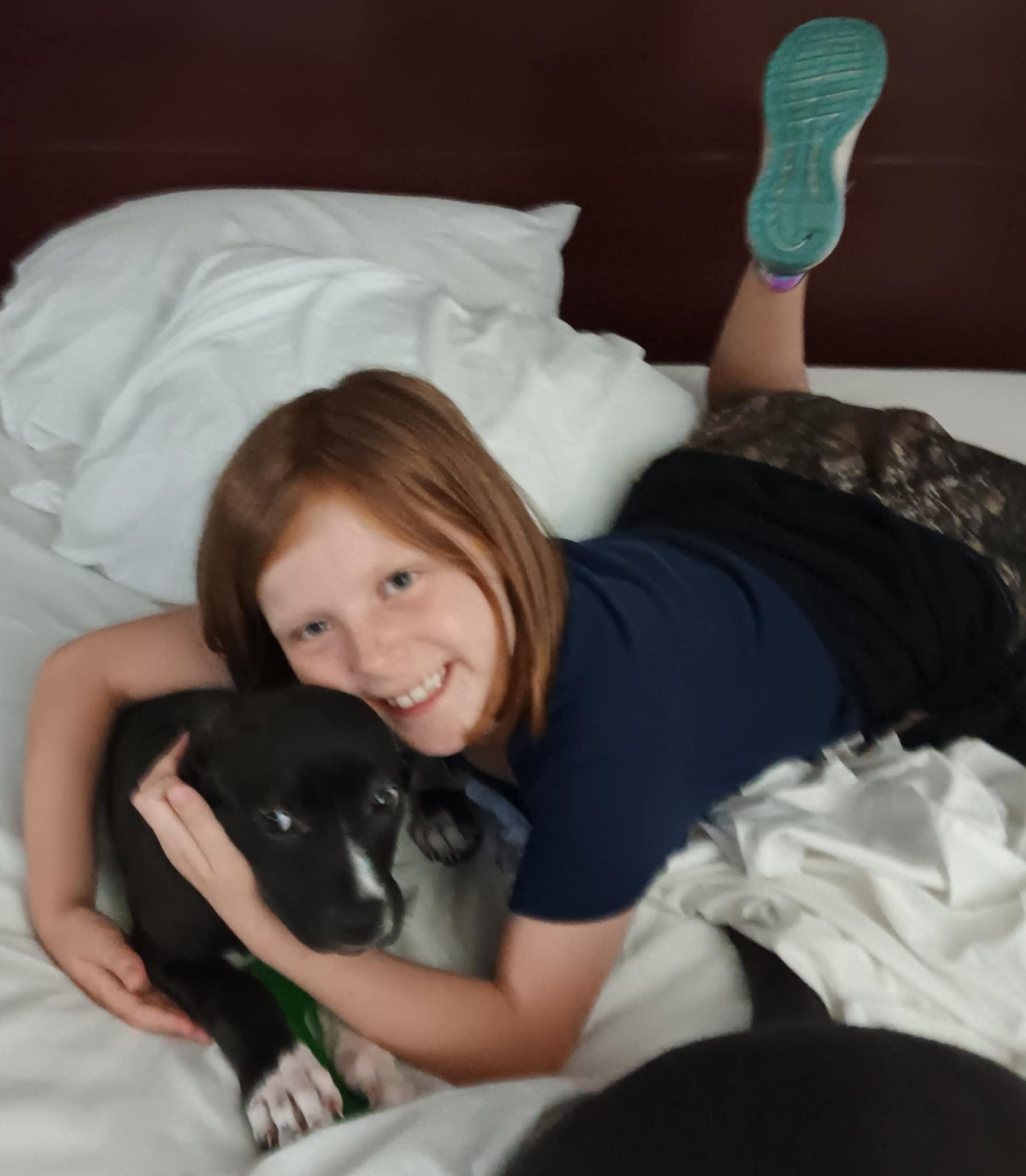 help for care of Becky's dogs campaign photo, 5 of 6
