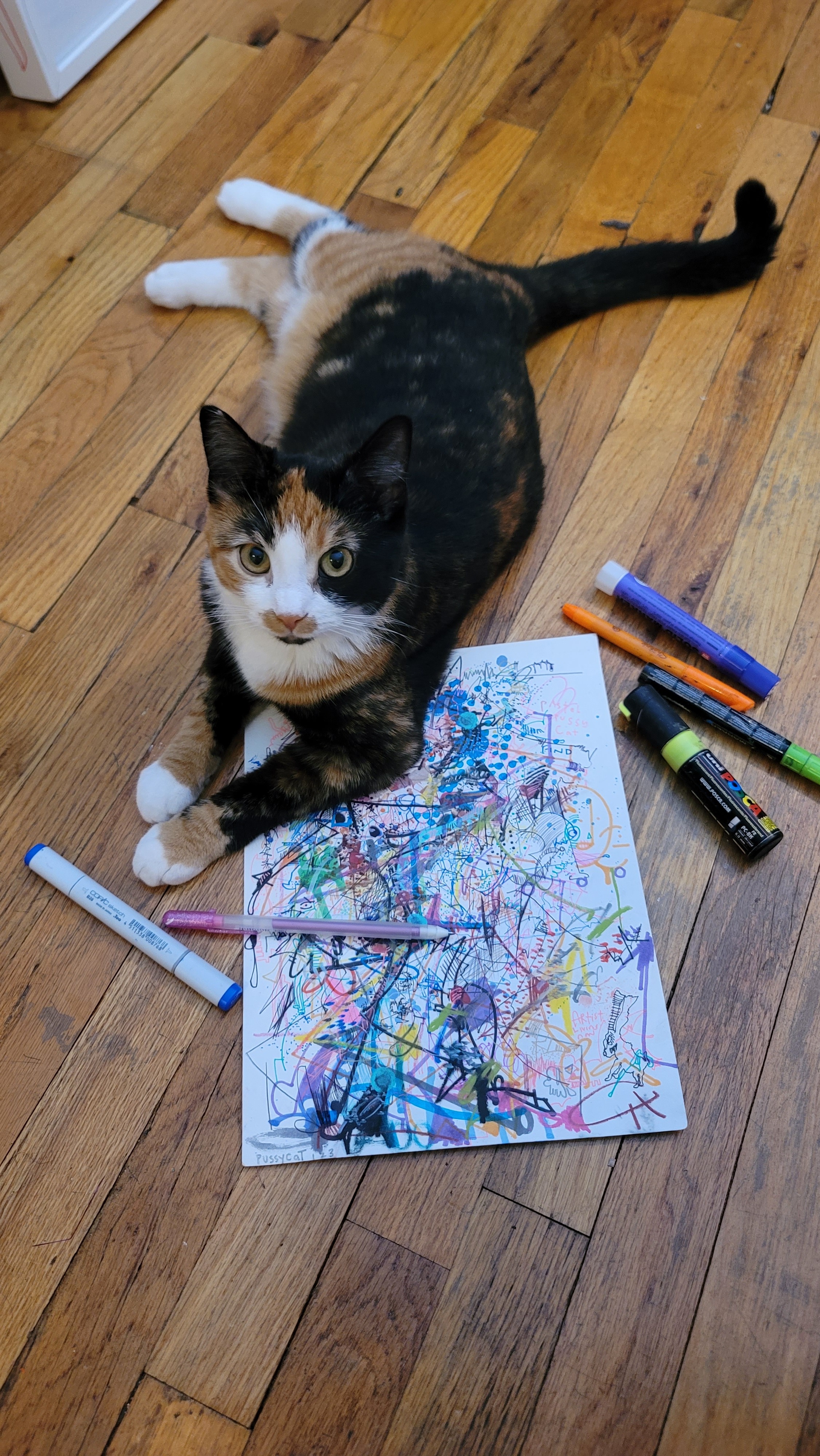 Help Slayer the Cat's Healing and Surgery campaign photo, 6 of 8