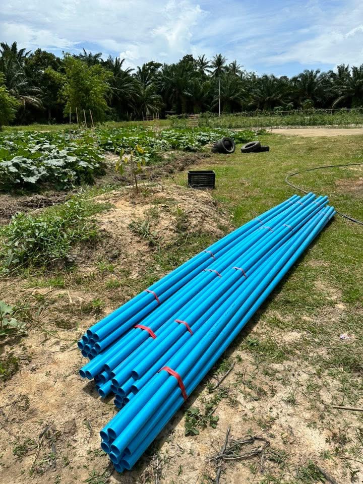 Help is needed for an orphanage in Southern Thailand campaign photo, 2 of 8
